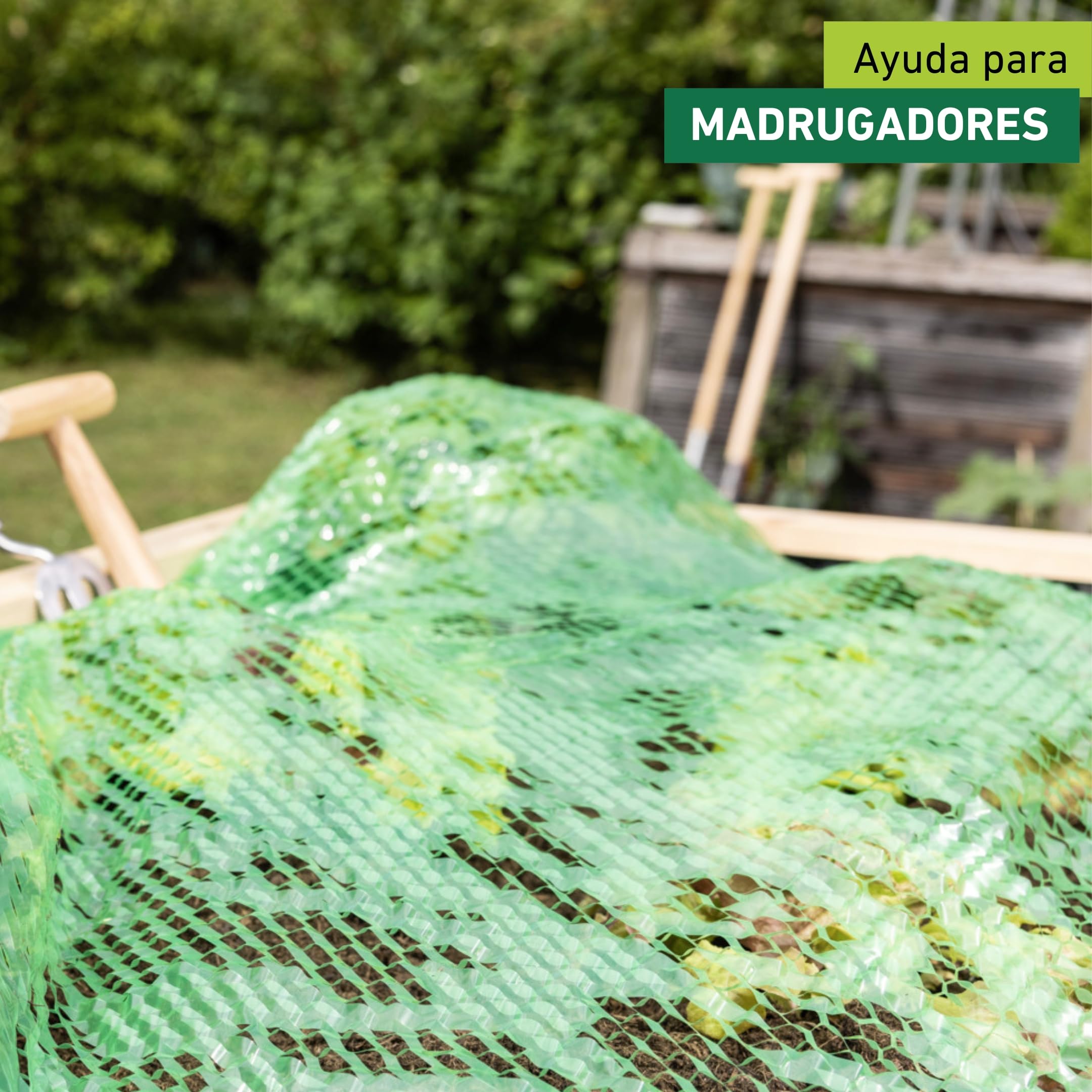 Windhager Película de Marco frío Que Crece con tu Hijo, película para Plantas para protección Durante Todo el año, película de Marco frío, película para Plantas, Verde, 7,2 x 1,4 m