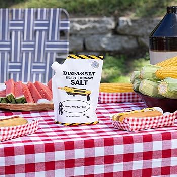 チーキ salt coconut GEEK BAR Nic Salt - Coconut Ice - Canada