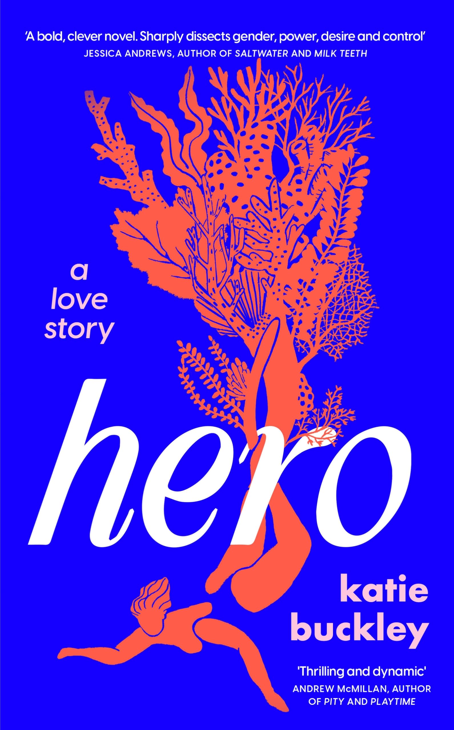 Hero: A fierce and captivating literary love story for 2025