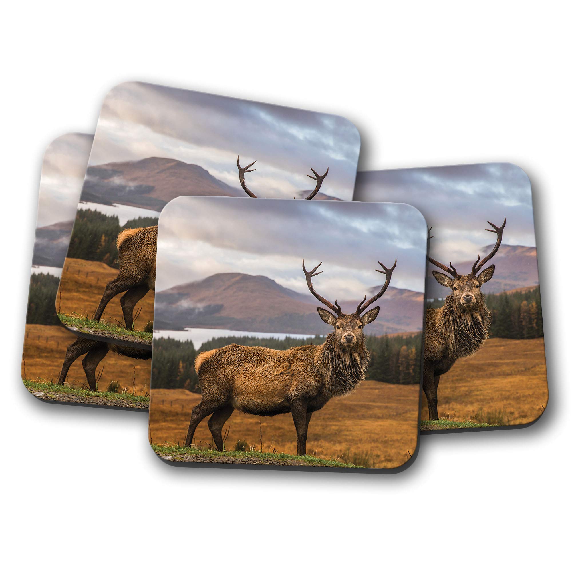 Destinationvinyl Men's Multicolor 4 Set - Stag Coaster - Red Deer Scotland Highlands Mountains #14361