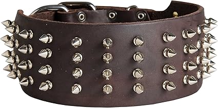 gladiator dog collar