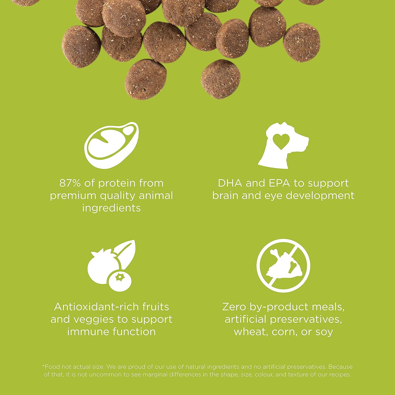 Go! Solutions Carnivore Chicken, Turkey + Duck Grain-Free Dry Puppy Food, Our Highest-Protein Kibble Made with Real Meat & Fish, Pumpkin & Probiotics for Good Digestion, 12 lb Bag