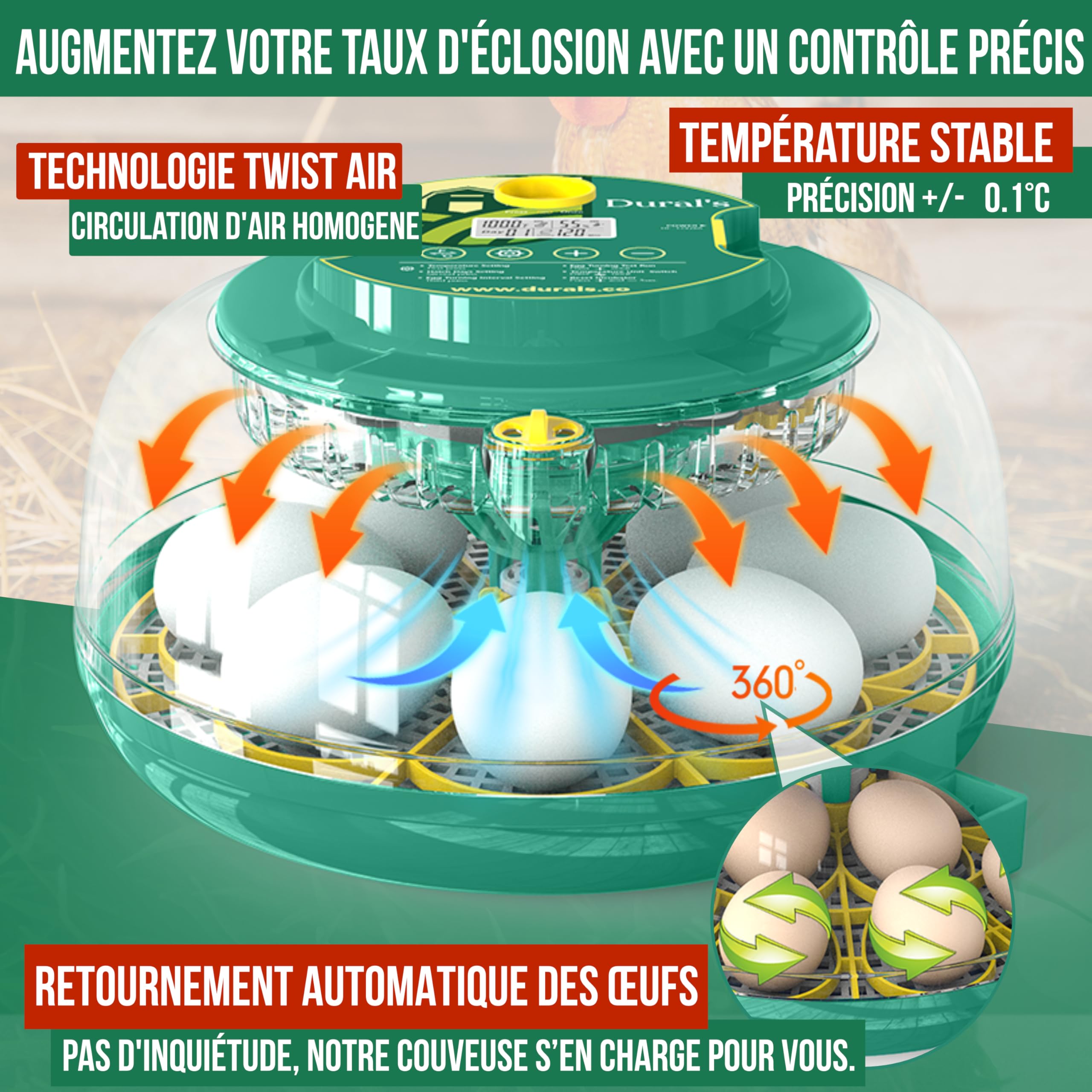 Dural's DX5® | Couveuse œuf automatique | Professionnel & Haute Précison | Certifiée CE | Contrôle de la Température & Humidité | Oeufs de Poule, Caille, Canard | Retournement Œuf automatique (DX5)