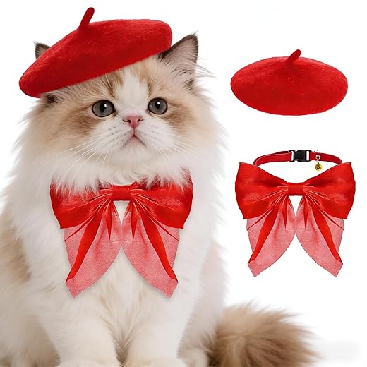 Dog Beret with Cute Bow Collar for Small Dog Cat Funny Artist Dog Hat for Halloween Christmas Birthday Photo Prop Costume (Red)
