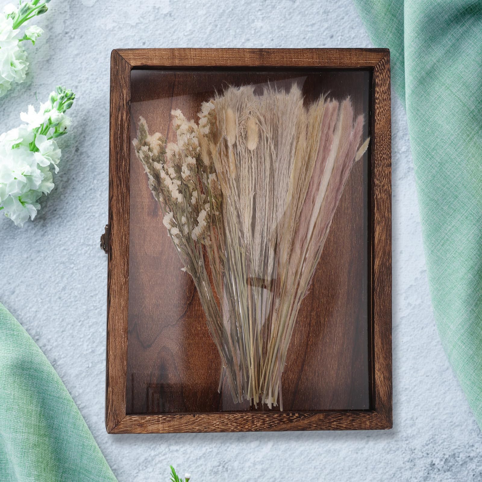 iplusmile Caja de Exhibición de Especímenes con Cerradura, Caja de Madera para Muestras, Vitrina de Insectos, Cubierta Transparente, para Especímenes y Manualidades Varios Estilos