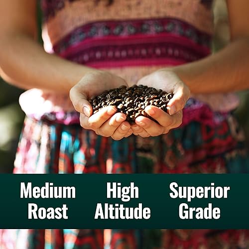 Miniatura 5 de Natural Force - Organic Clean Coffee Classic, Mold & Mycotoxin Free, Lab Tested for Toxins & Purity, Low Acidity, Incredible Taste & Aroma, Whole