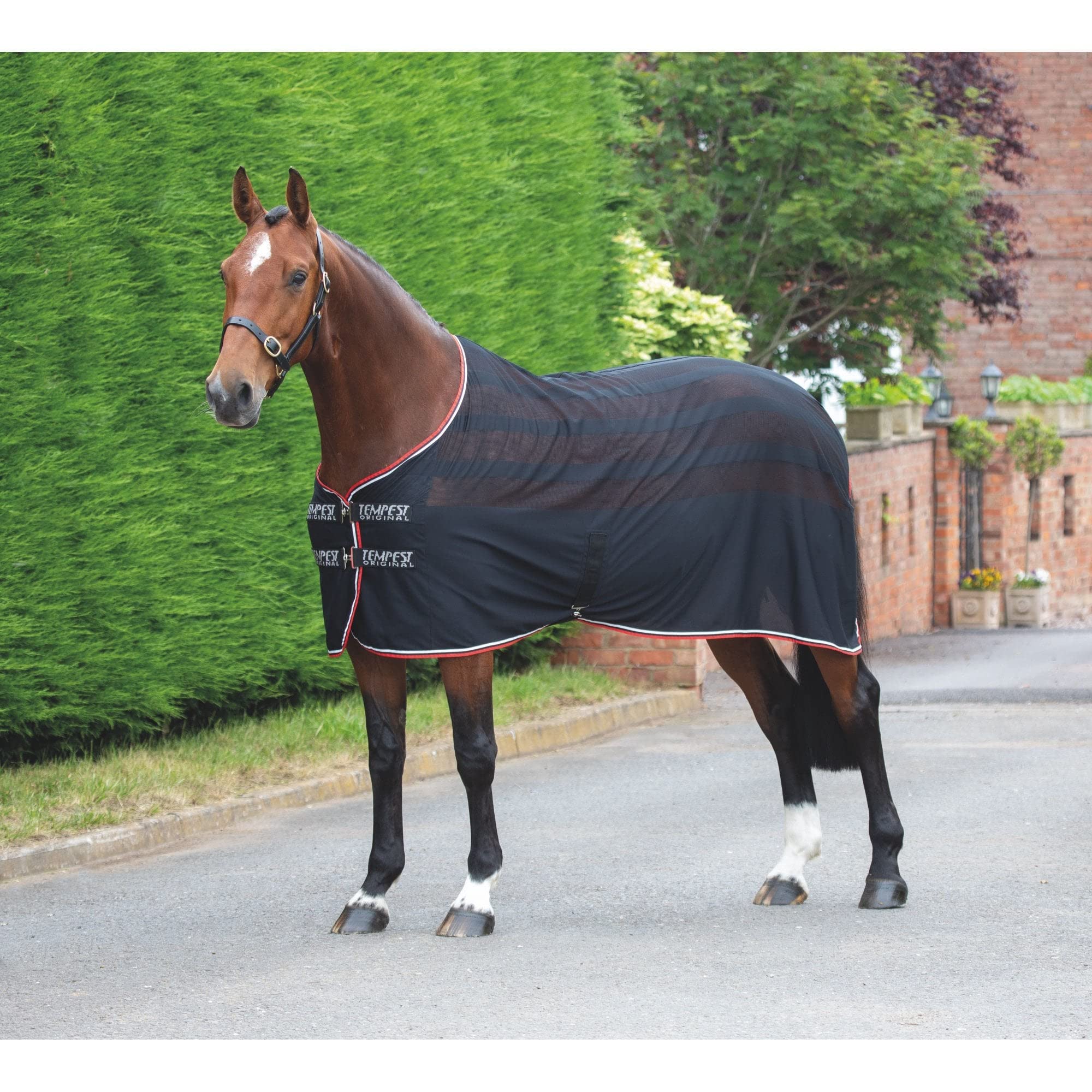 Shires Tempest Original Scrim - Alfombra térmica (carbón)