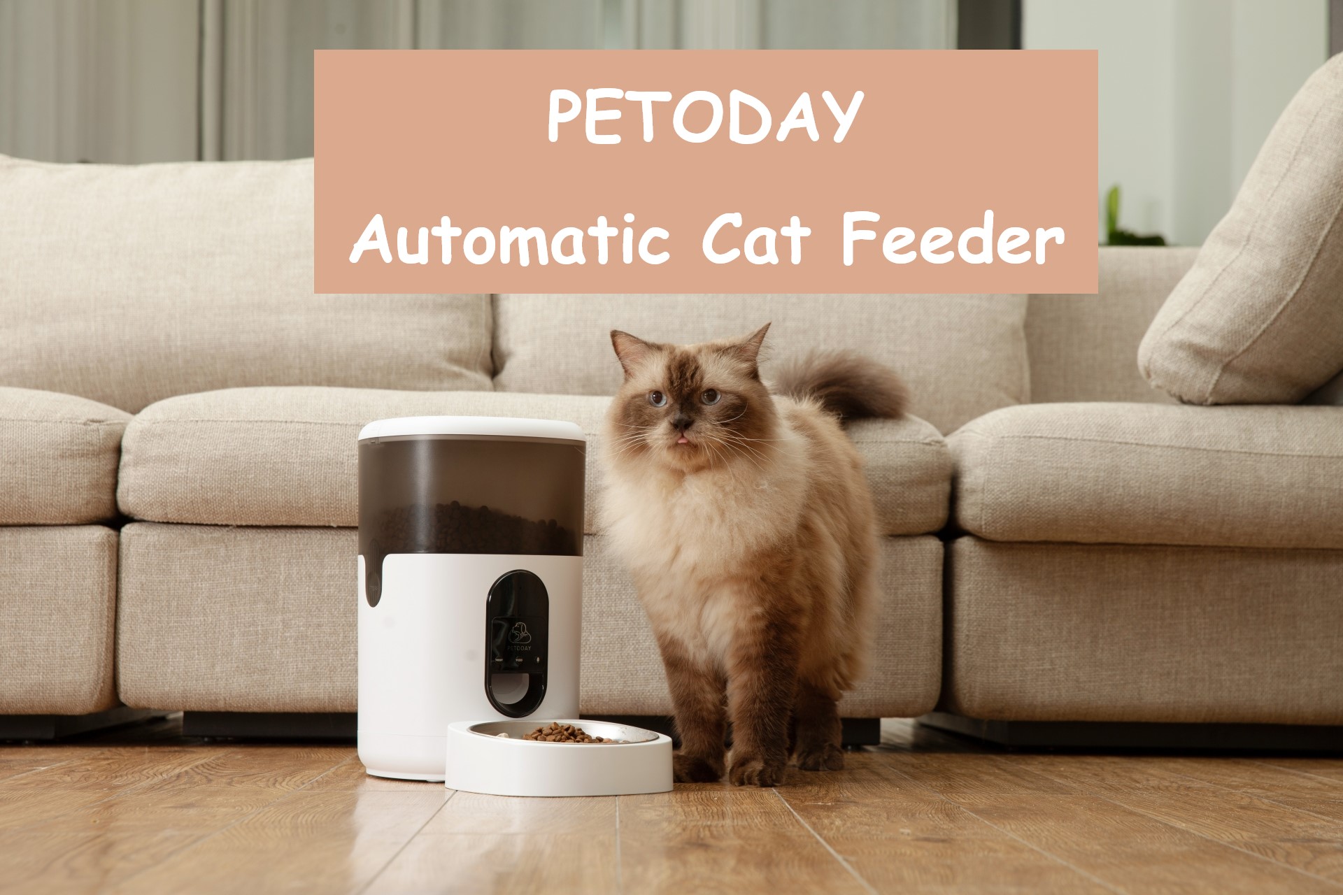 Petoday Automatic Feeder Manual at Terry Carbajal blog