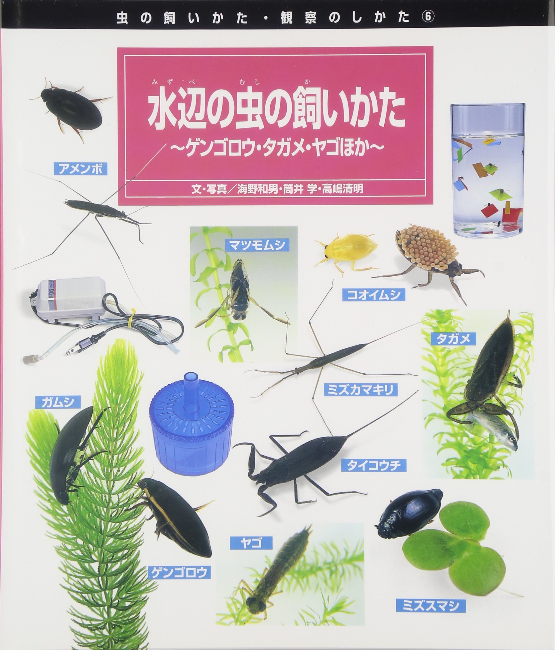 水辺の虫の飼いかた ゲンゴロウ タガメ ヤゴほか 虫の飼いかた 観察のしかた 和男 海野 清明 高嶋 学 筒井 本 通販 Amazon 水辺の虫の飼いかた ゲンゴロウ タガメ ヤゴほか 虫の飼いかた 観察のしかた 和男 海野 清明 高嶋 学 筒井 本 通販 Amazon