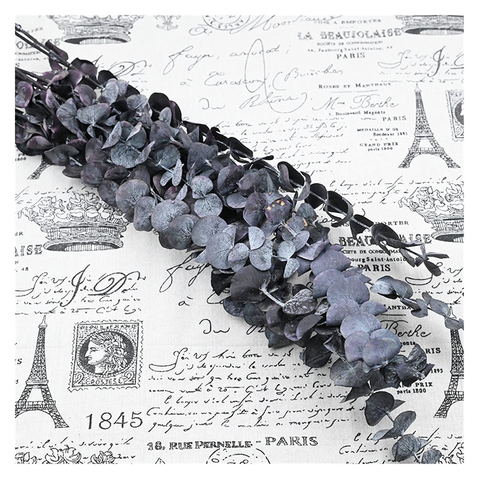 Fleurs séchées naturelles 60g, Eternell préservé arrangez des fleurs sèches pour les accessoires de décoration de la soirée de mariage, la nature séchée véritable eucalyptus Décoration de fête de mari