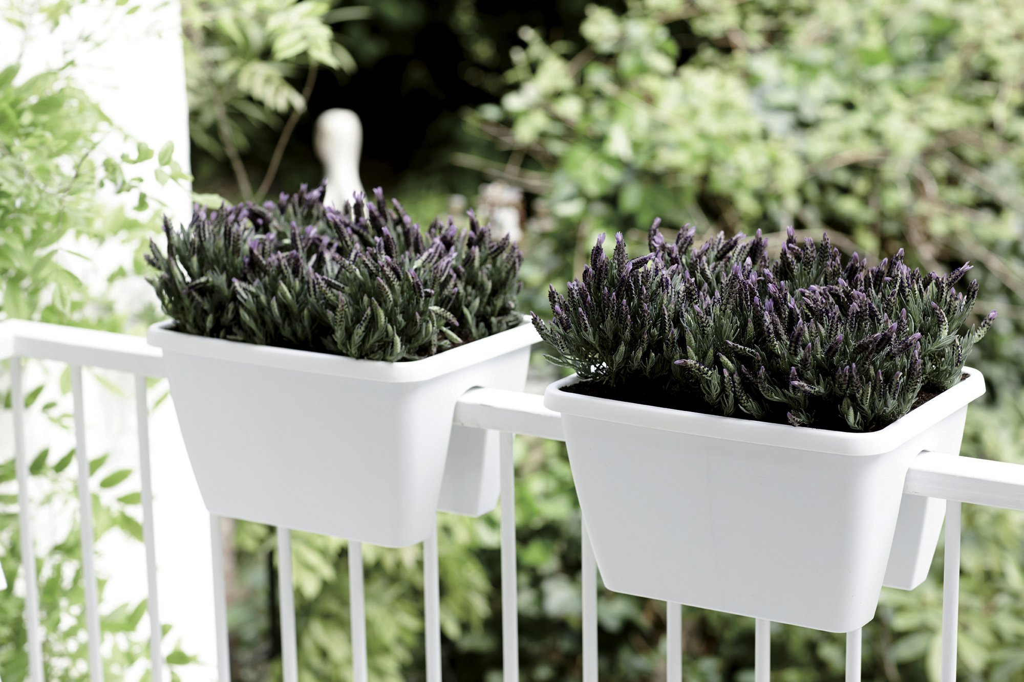 Elho Barcelona Flower Bridge Jardinero balcón, Blanco, 39x29.2x32 ...