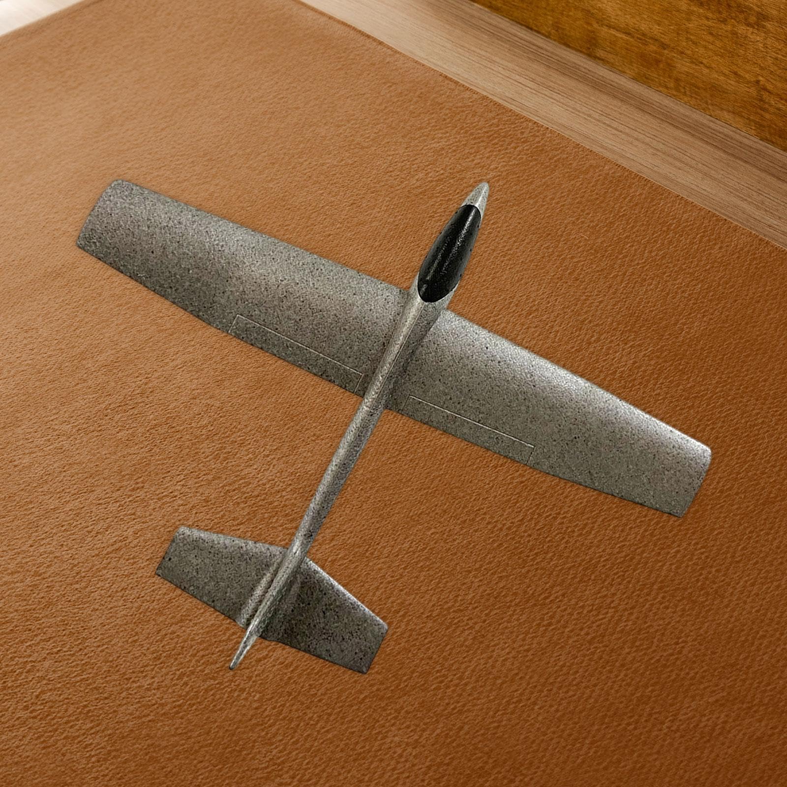 Avión de Espuma de Juguete, Planeador de Juguete, Avión de Juguete para Fiestas, Juguete para Mano, Juguete Deportivo para Exteriores, Juguet, Gris