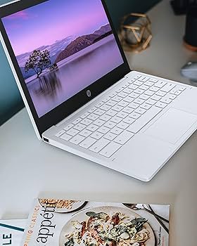 DELL Chromebook 11.6インチ ホワイト Amazon.co.jp: Dell (デル) Chromebook 11 3000 3100 11.6インチ