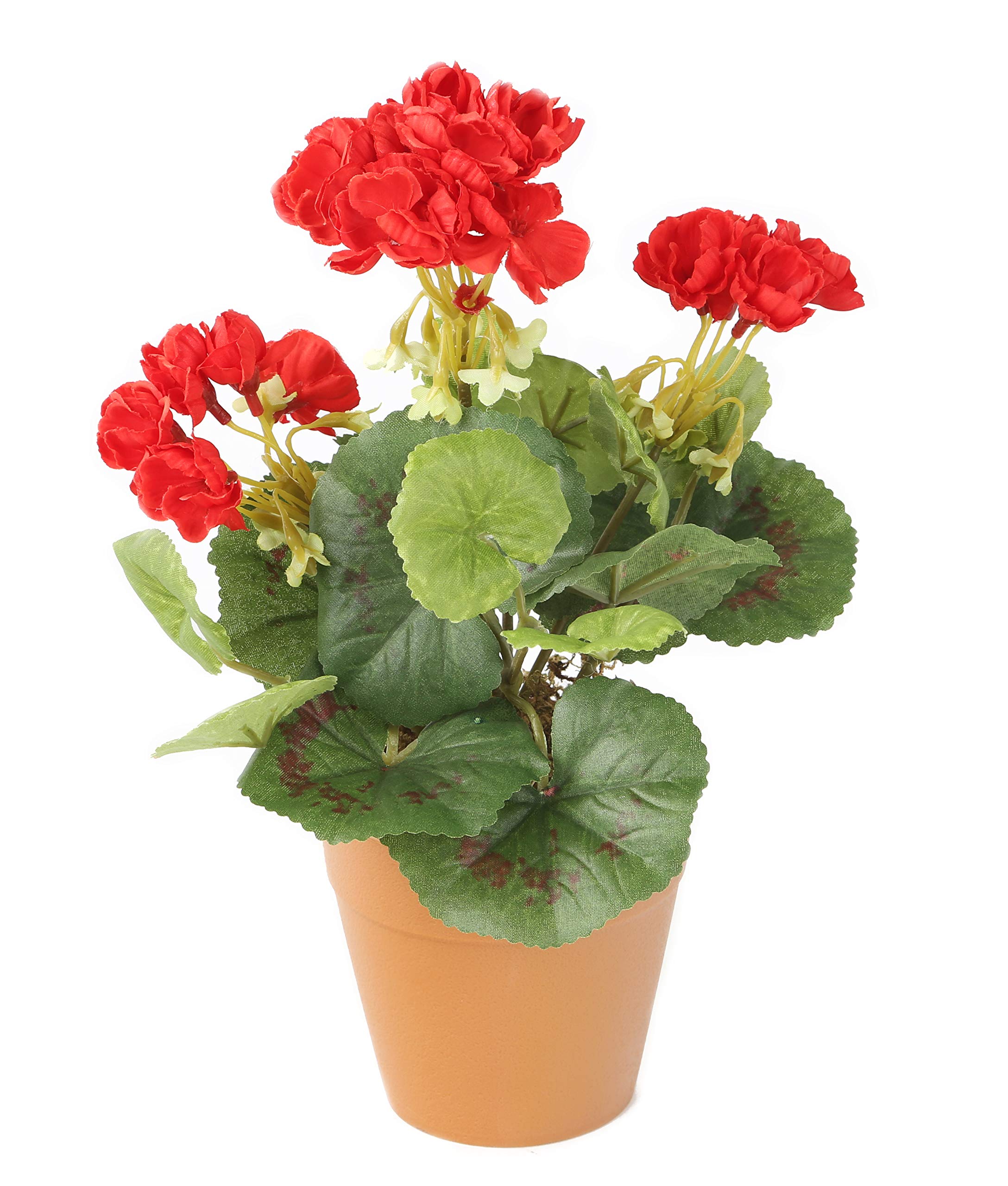 Closer2Nature - Red Geranium Artificial Plant; 24cm Fake Geranium Plug Plant; Artificial Flowers Perfect as Indoor Plant or Outdoor Plants - Pot Not Included