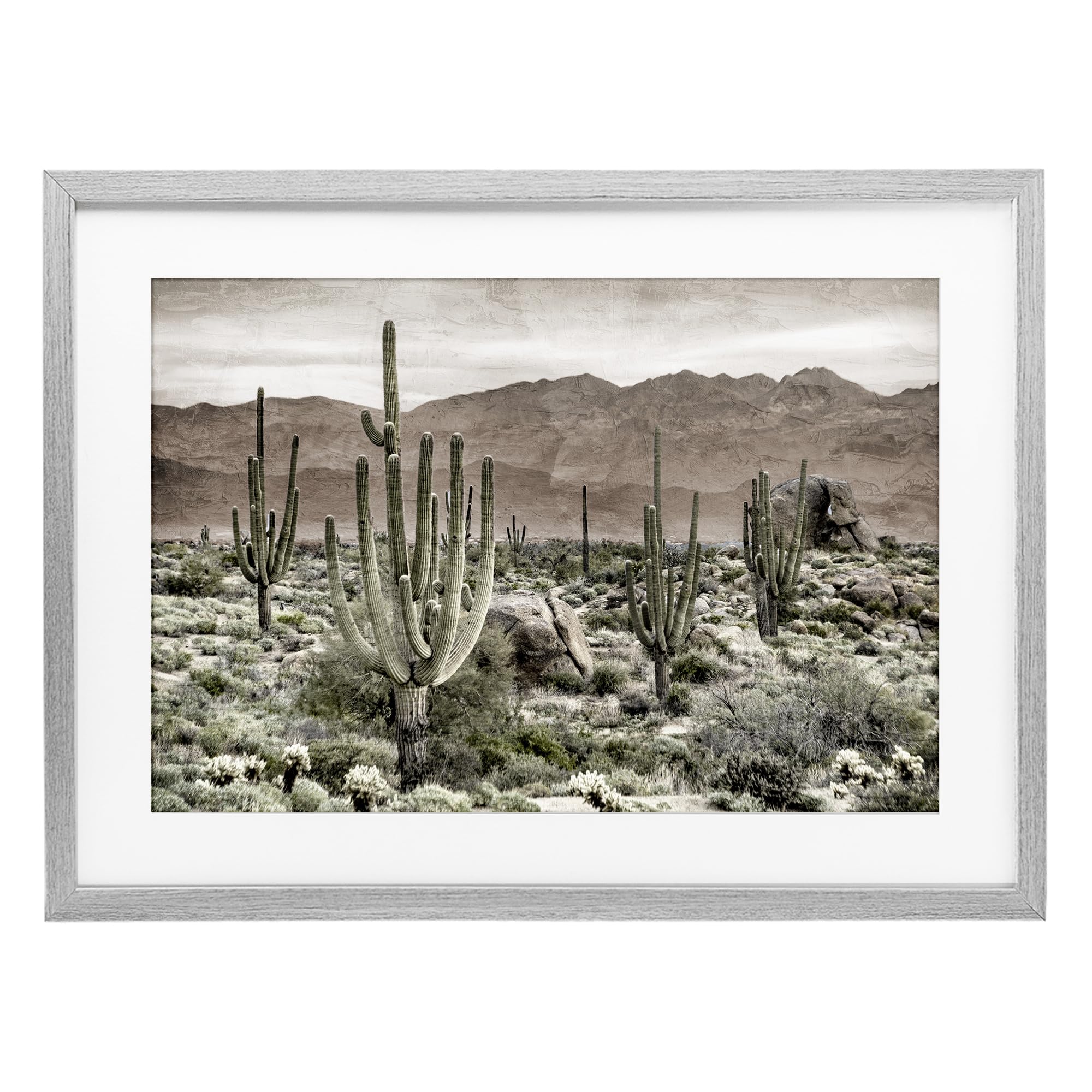 Stupell Industries Farmhouse Gray (Textured) Desert Cacti Wilderness Landscape, 14 X 20 Inch Framed Print Under Glass