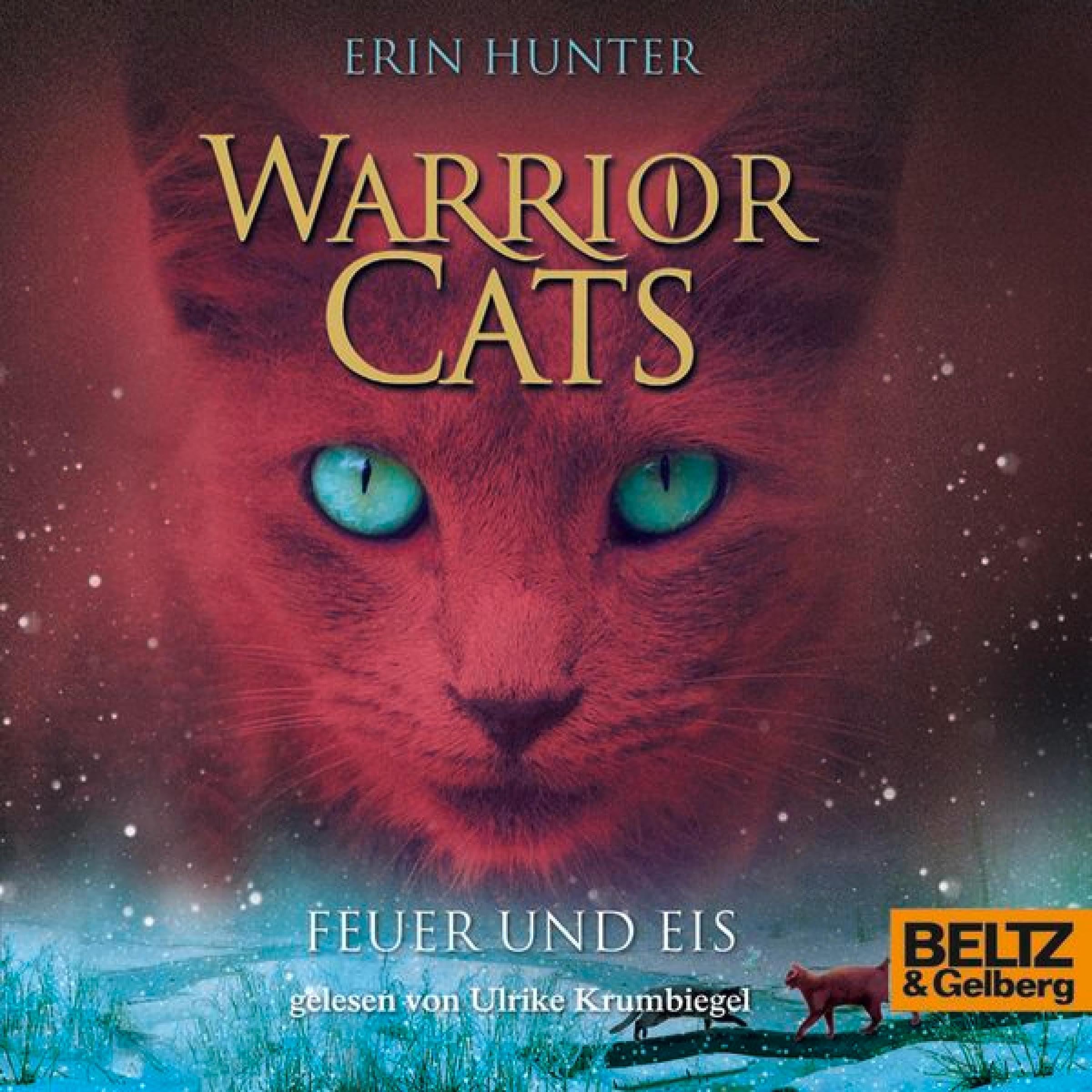 Cover art for Feuer und Eis