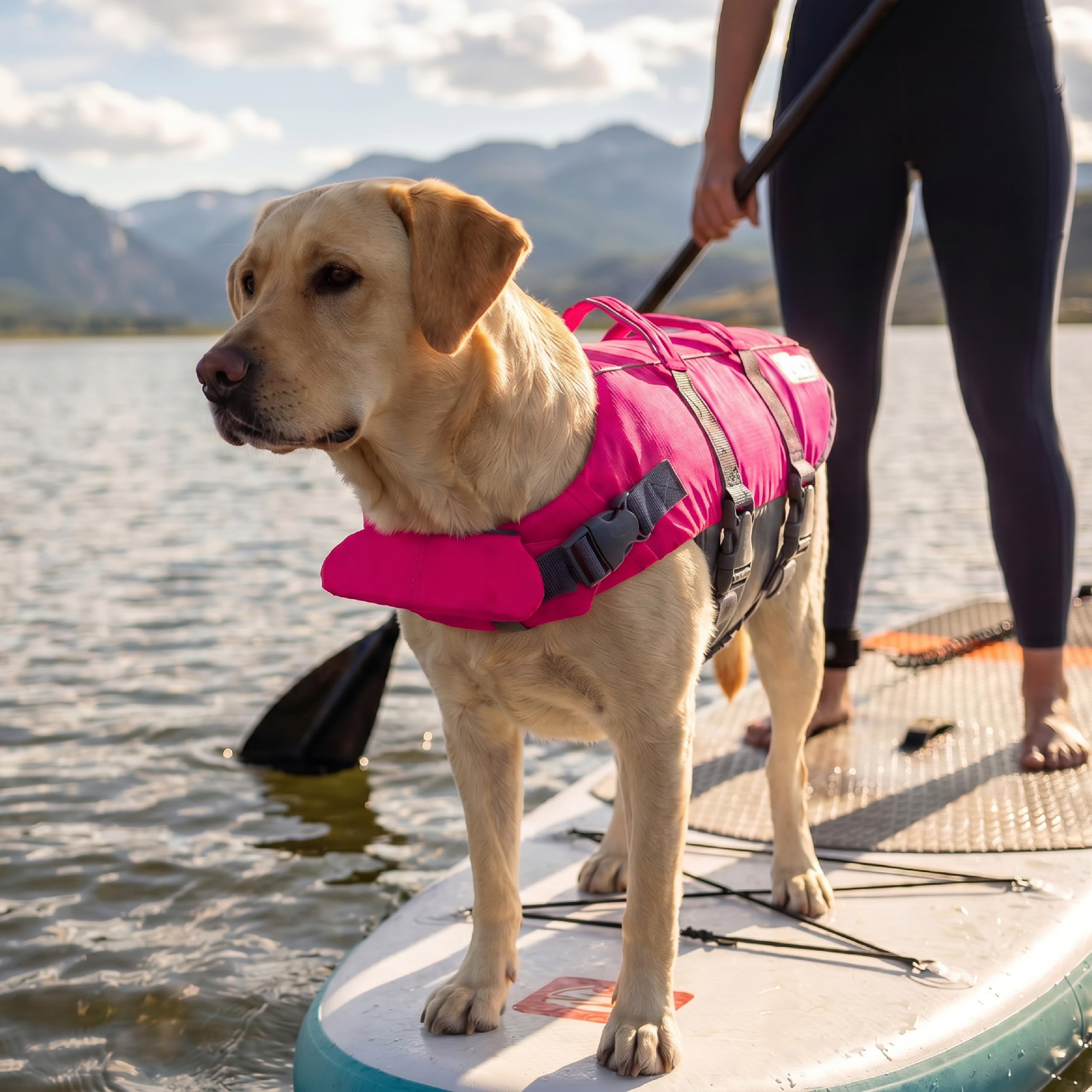 Outward Hound Granby Splash – Gilet de Sauvetage pour Chiens, Rose, Taille L