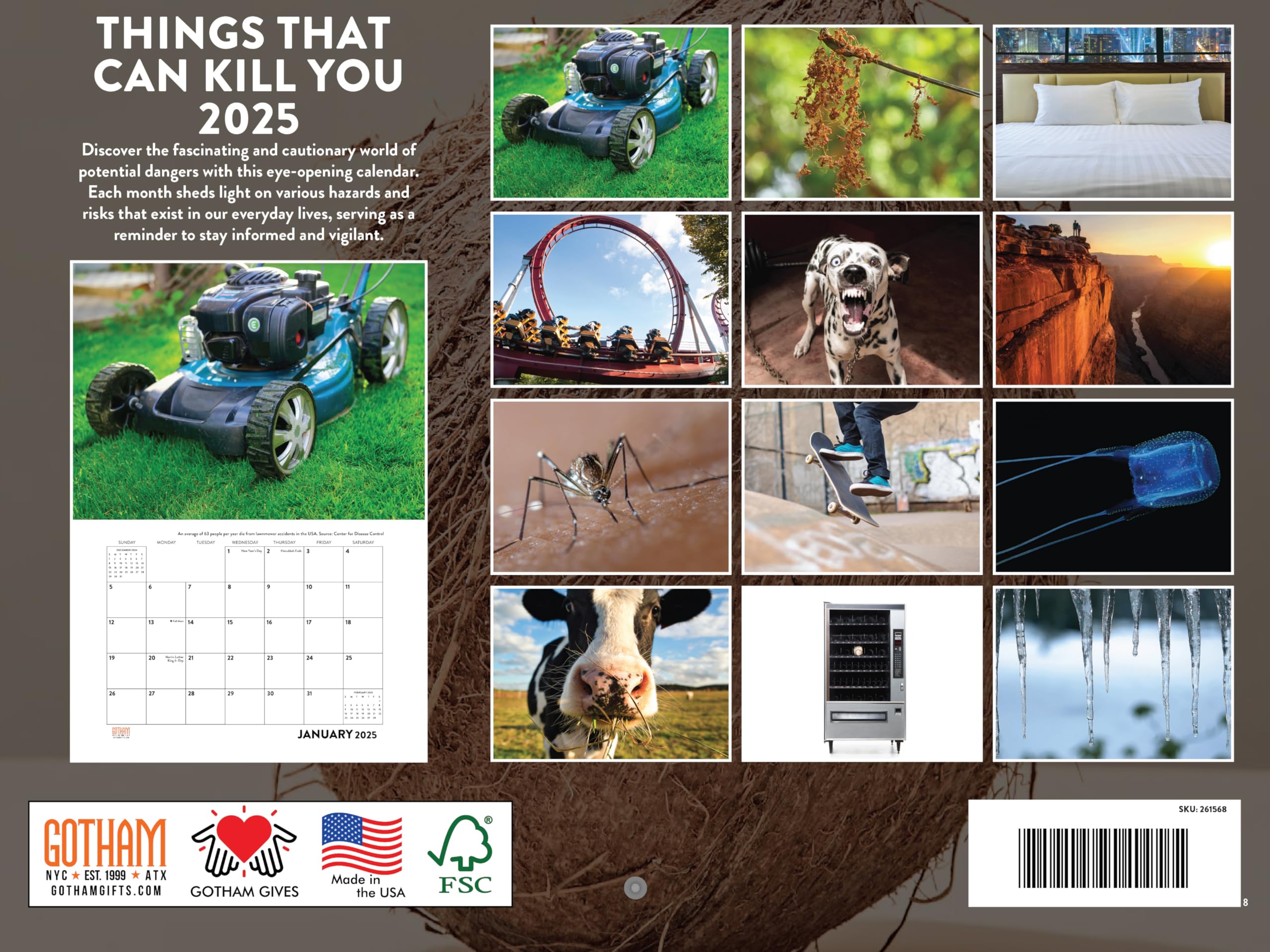 Amazon.co.jp: 面白いカレンダー 2023 白い象のギフト 大人向け ヤンキースワップギフト 月間壁掛けカレンダー ギャグギフト :  Office Products