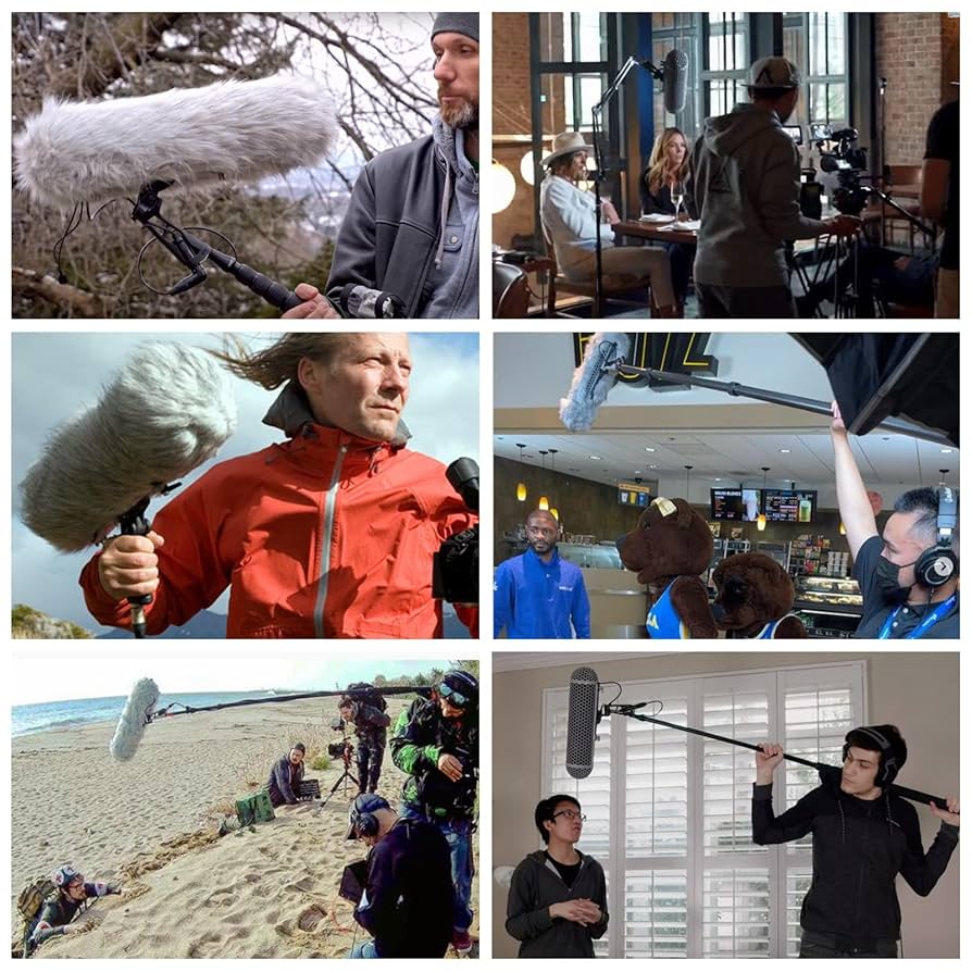 【美品】 Micolive Blimp　マイクウインドシールドブリム保護ケージ DF Micolive Blimp マイクウインドシールドブリムウインド