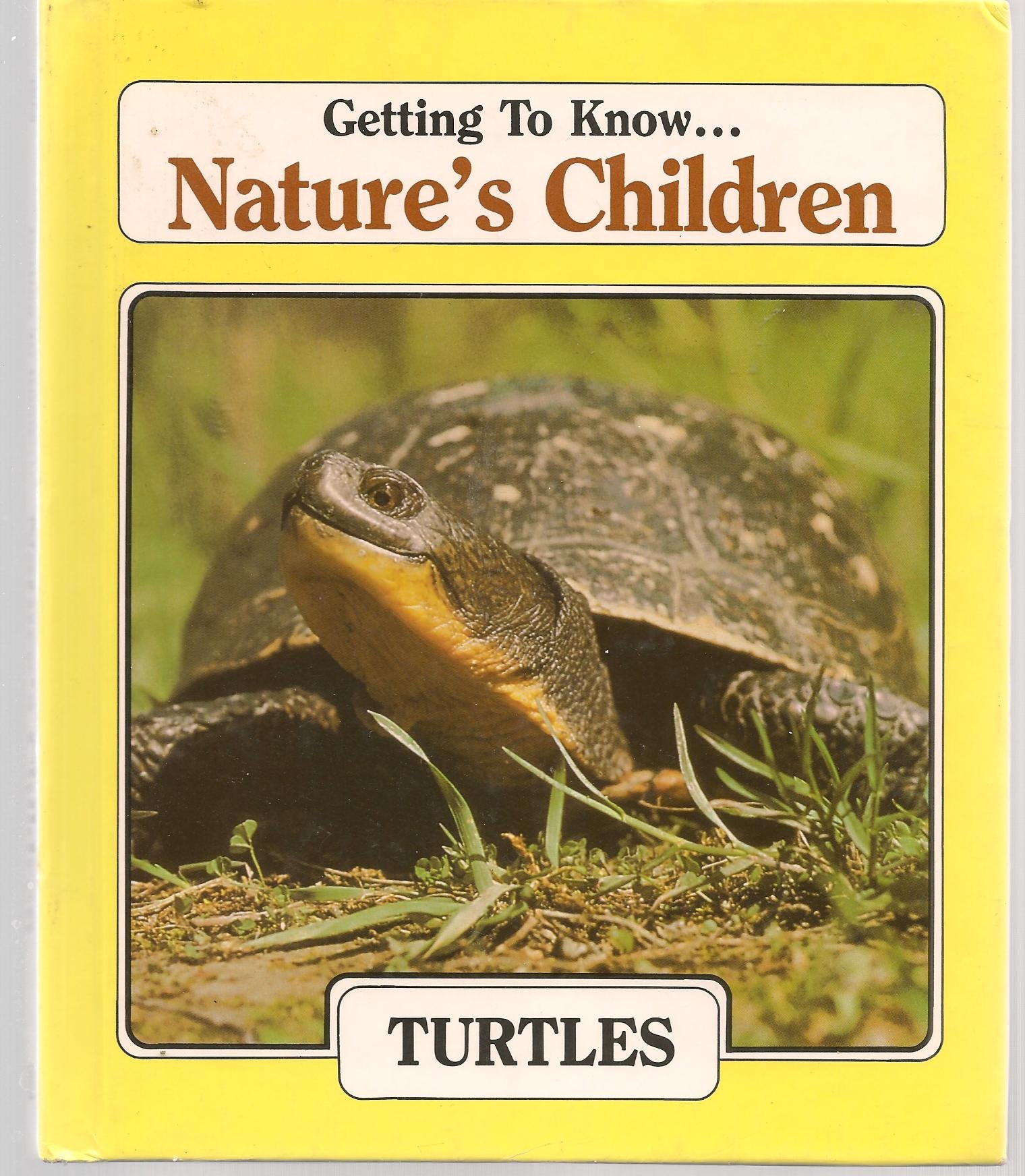 Turtles: Switzer, Merebeth: 9780717219469: Books - Amazon.ca