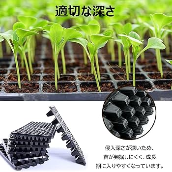 育苗種まき　3z 200-2L 育苗種まき 3z 200-2L