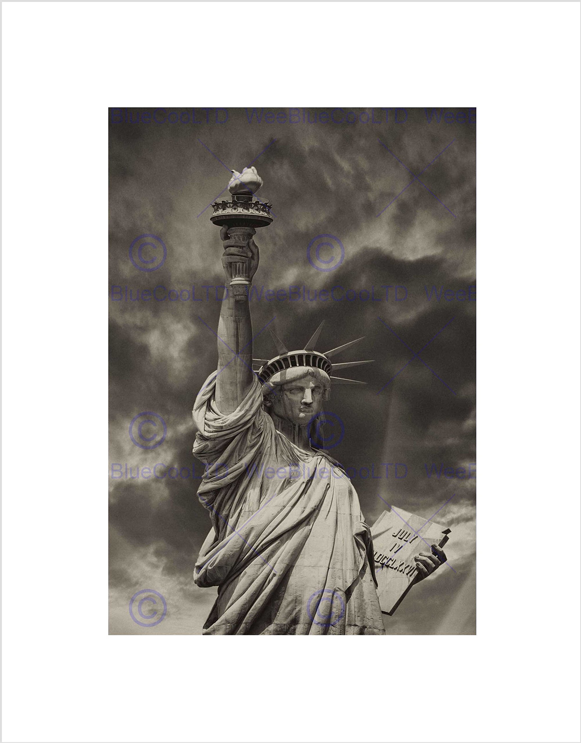 Wee Blue Coo PHOTO COMPOSITION LANDMARK STATUE LIBERTY NEW YORK FRAMED ART PRINT B12X13068