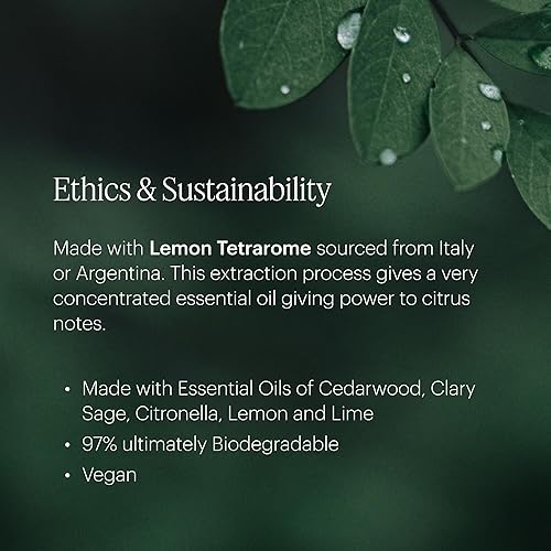 Miniatura 4 de Aera Cítricos - Aceite esencial para el hogar - Fragancia de ralladura de limón - Notas de limón, naranja, salvia clara y cedro - Recambio de aroma