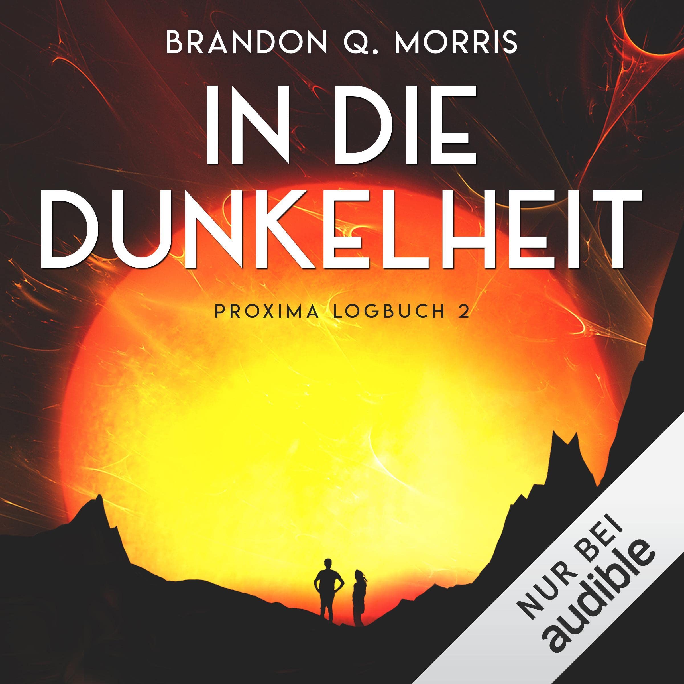 Cover art for In die Dunkelheit
