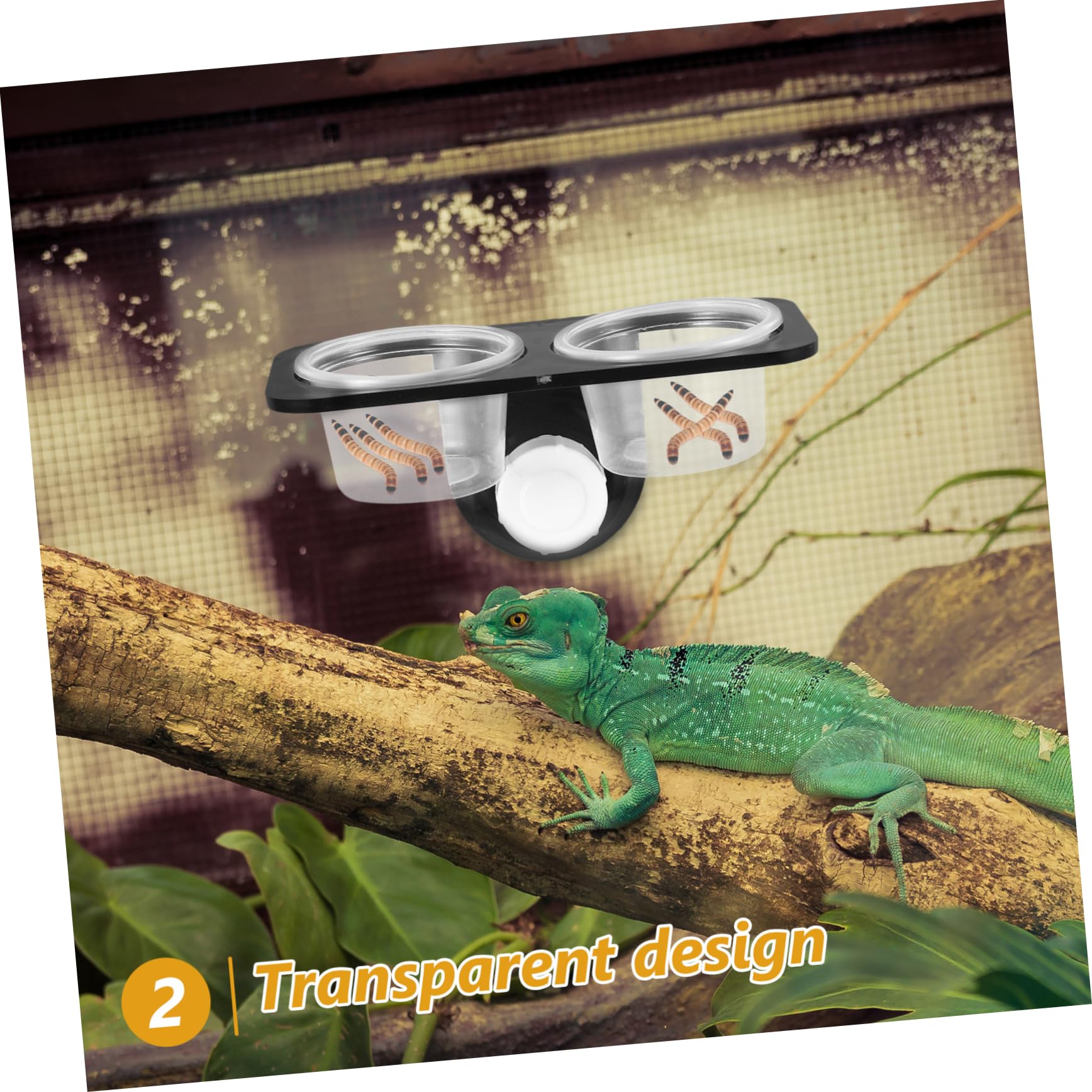 爬虫類　水 エサ入れ　21 Amazon.co.jp: 爬虫類用餌入れ水入れ 爬虫類用フードディッシュ