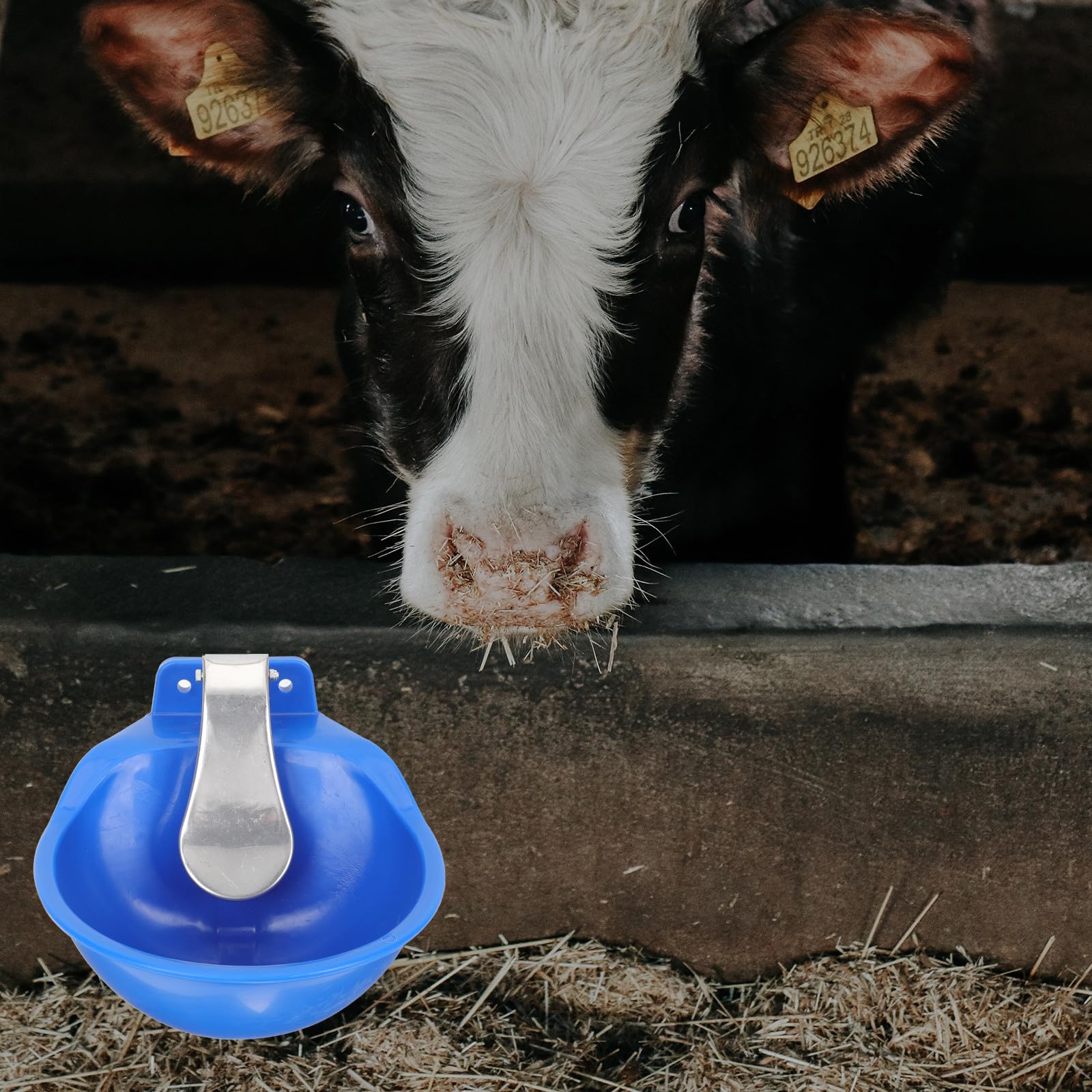 Ciotola Automatica per Bestiame in Plastica e Acciaio Blu