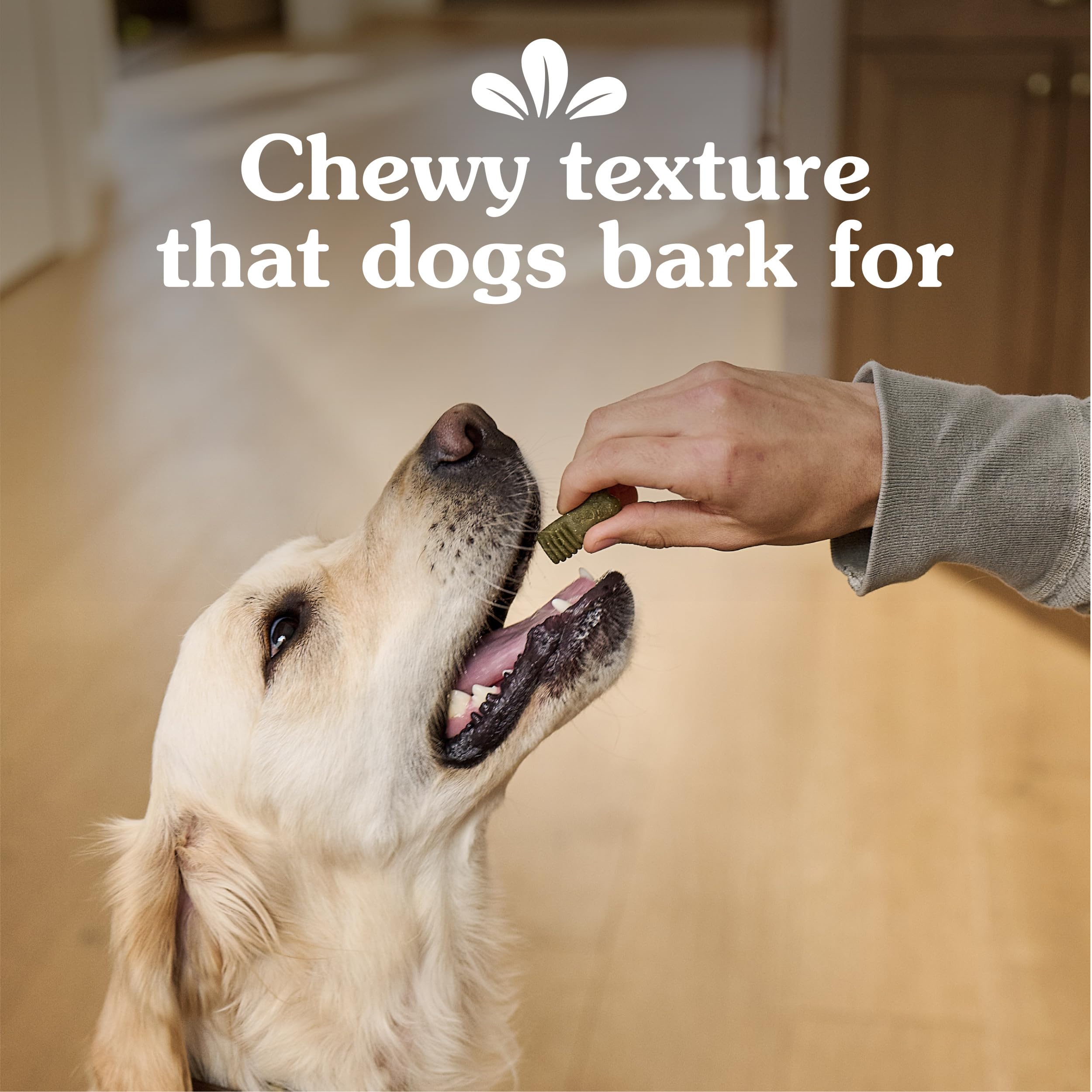 GREENIES Anytime Bites - Golosinas para Perros, Sabor a Menta, Bolsa de 24 onzas