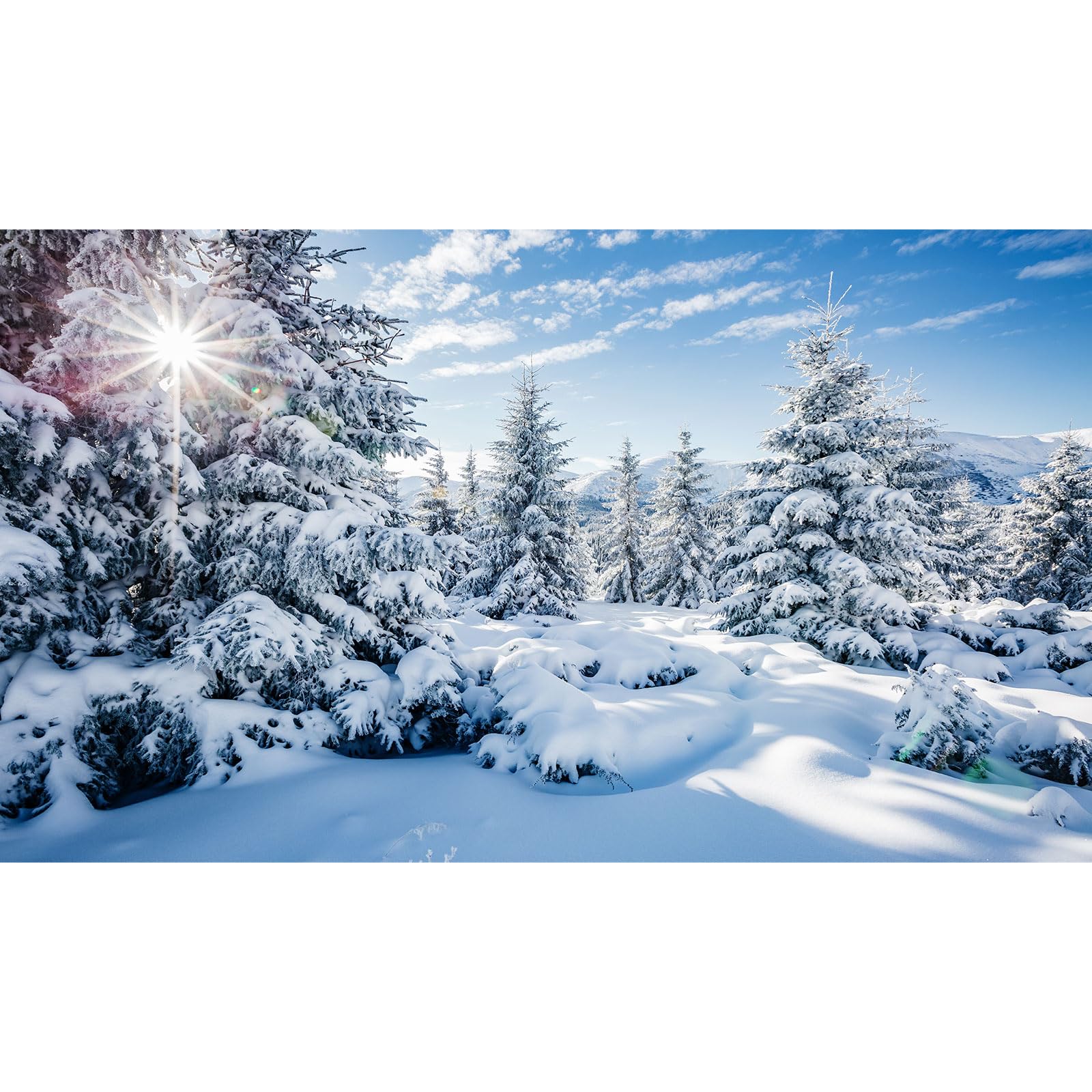 Winter Scenery Aquarium Background Majestic Snowy Spruces Fish Tank Background Snow Covered Frosty Wintry Natural Landscape Terrarium Backgrounds Winter View Reptile Tanl Backgrounds 48x24in