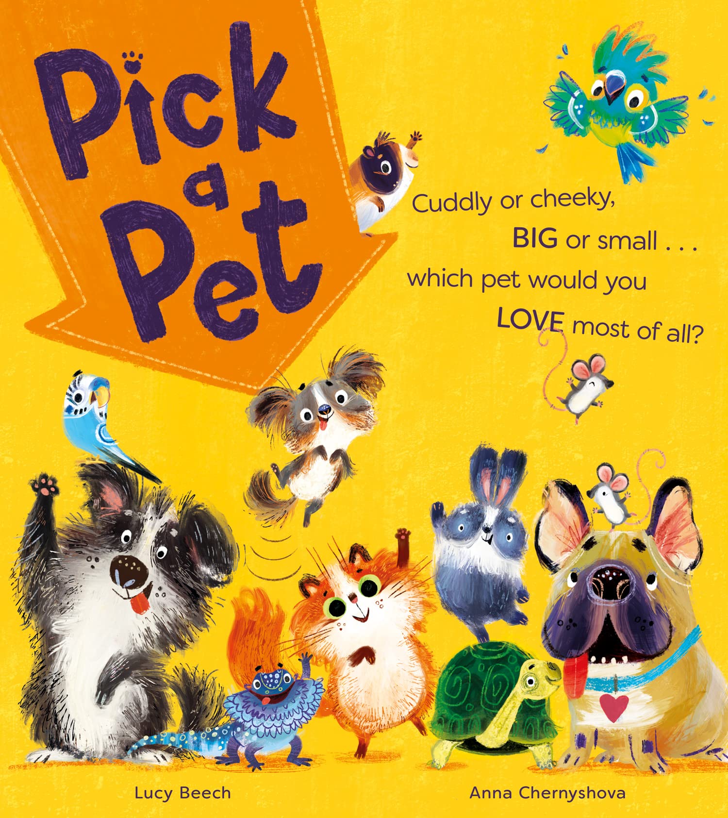 Pick a Pet by Lucy Beech (Paperback Book)