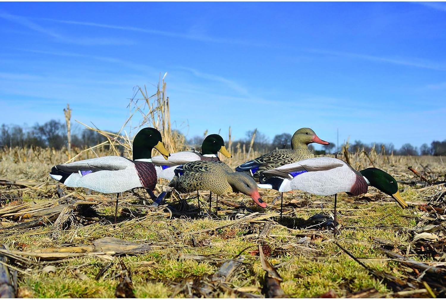 Higdon Outdoors Magnum Full-Form Shell Mallard Duck Decoys | Swivel Heads & Motion Stakes | Lightweight, Realistic Movement for Waterfowl Hunting | Variety Pack | Flocked Heads | 6pk