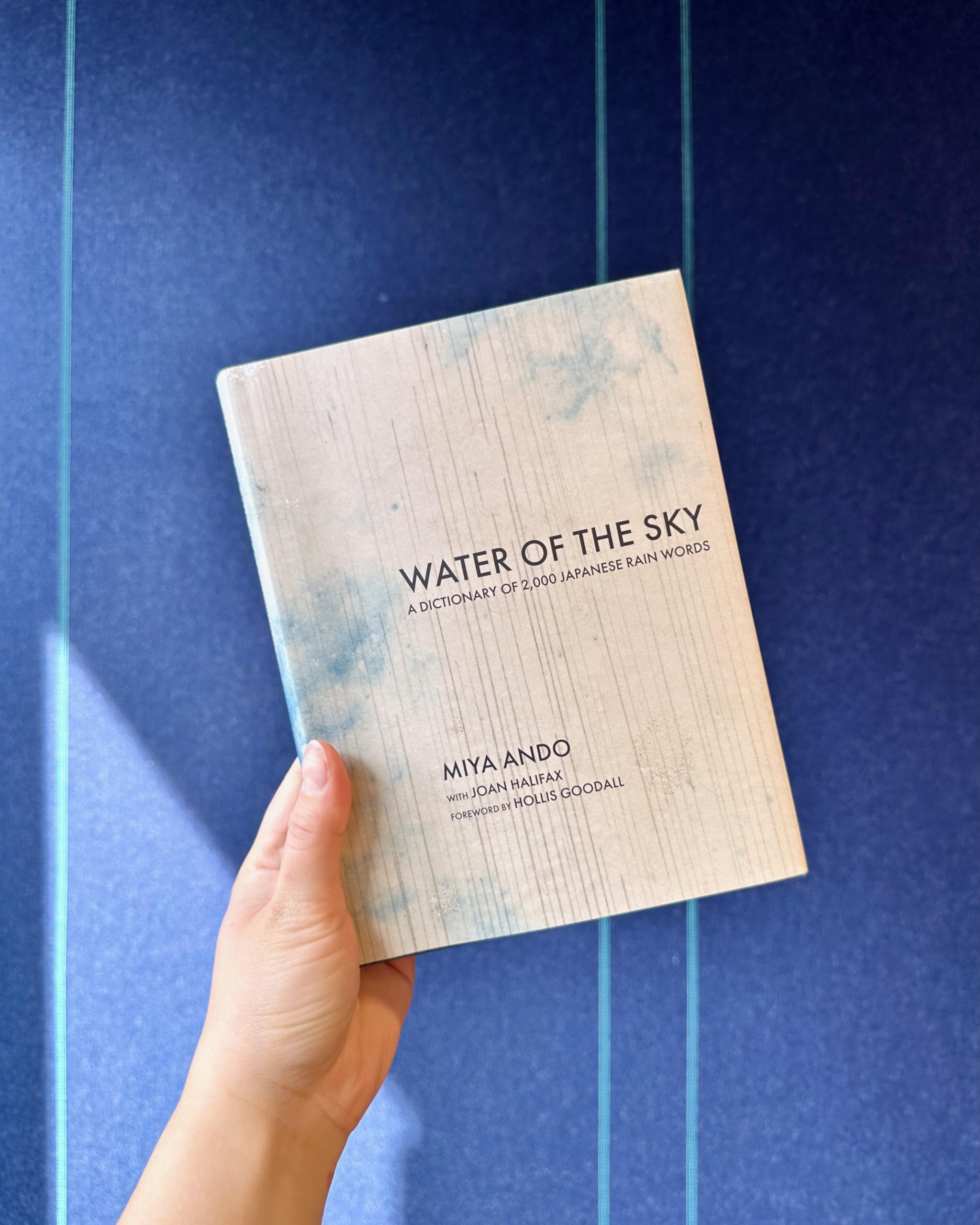 Water of the Sky: A Dictionary of 2,000 Japanese Rain Words