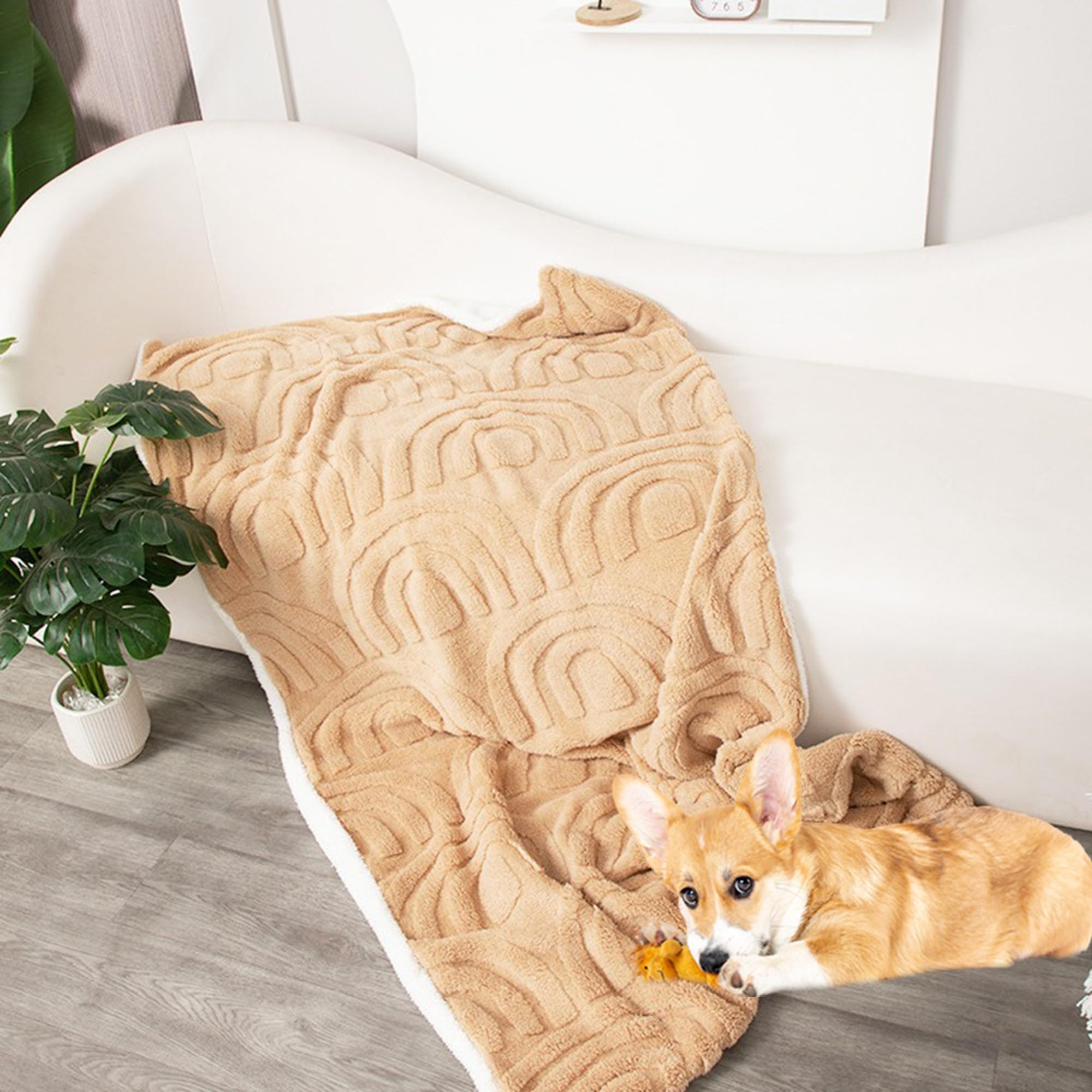 Coperta per animali domestici grande, versatile per cani, gatti e gatti, coperta calmante per letto, divano, lavabile in lavatrice, coperta per animali domestici (grigio chiaro, 180 x 160 cm)