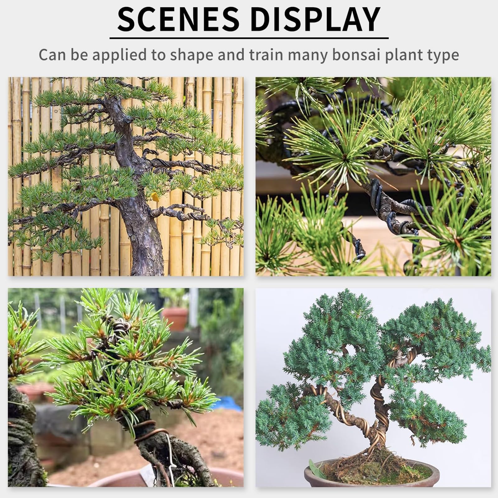 Set Filo Per Bonsai In Alluminio - 6 Rotoli Da 1,0mm A 4,0mm | Per Modellare Piante E Alberi - Foto 7