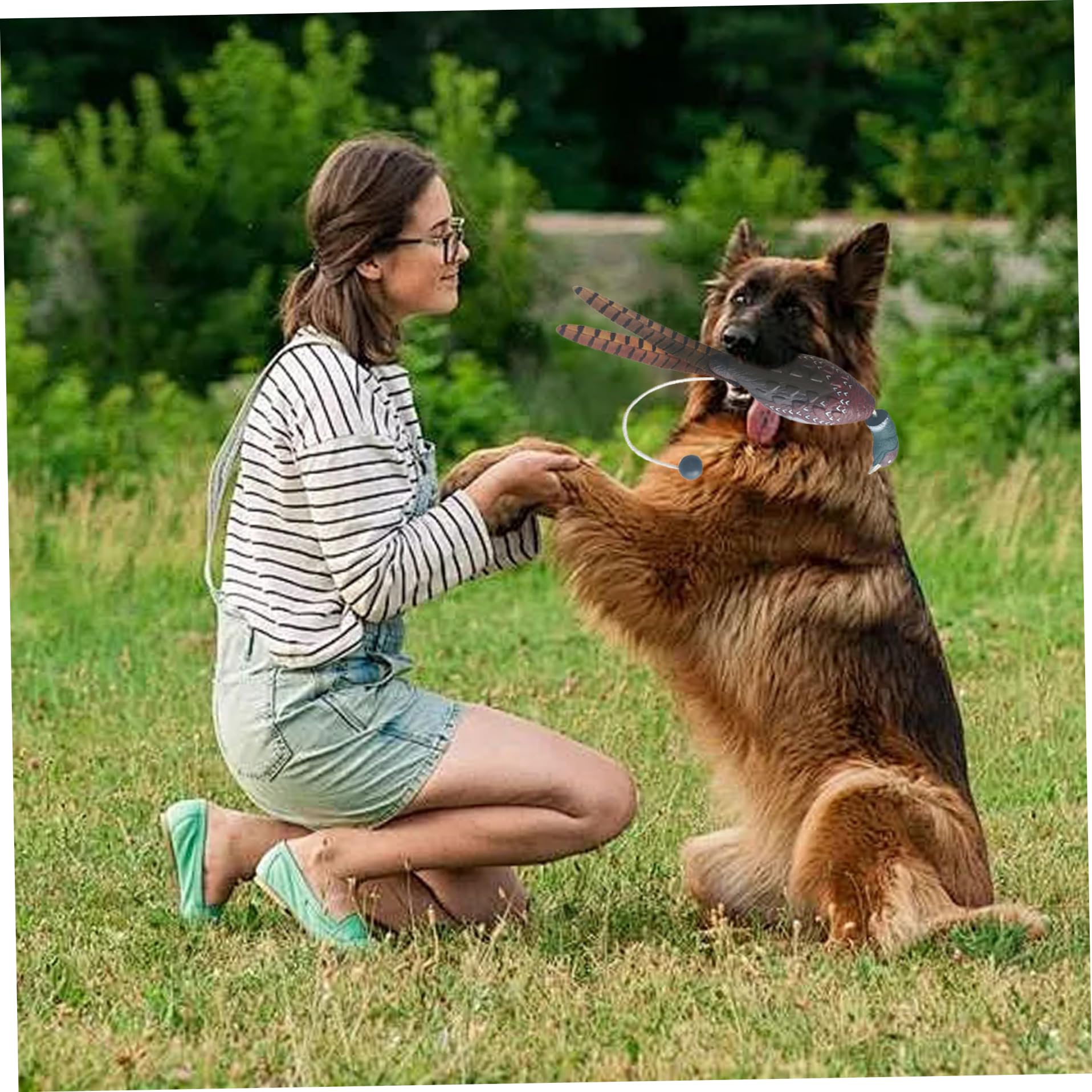 Jorzer Lanzador de pájaros para Entrenamiento de Perros, Lanzador de Pavo simulado, Juguete de Entrenamiento Resistente a mordeduras, Divertidos Juguetes interactivos para Mascotas.