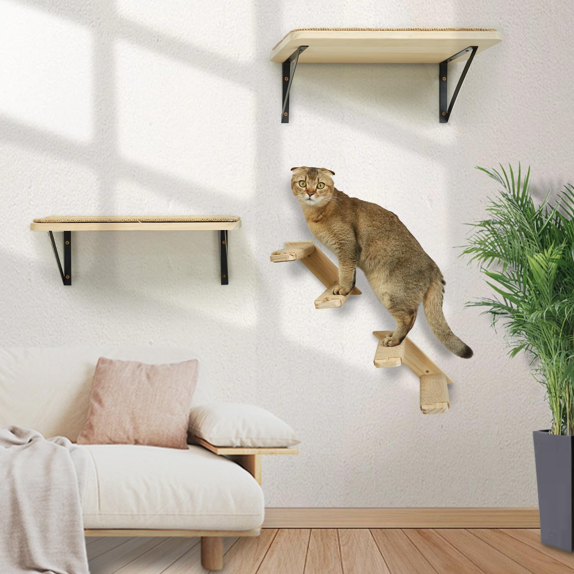 Mur d'escalade pour chat - Lot de 3 - Avec 2 marches et plateforme de jeu - En bois massif - Montage mural - Pour l'escalade, les jeux, le sommeil