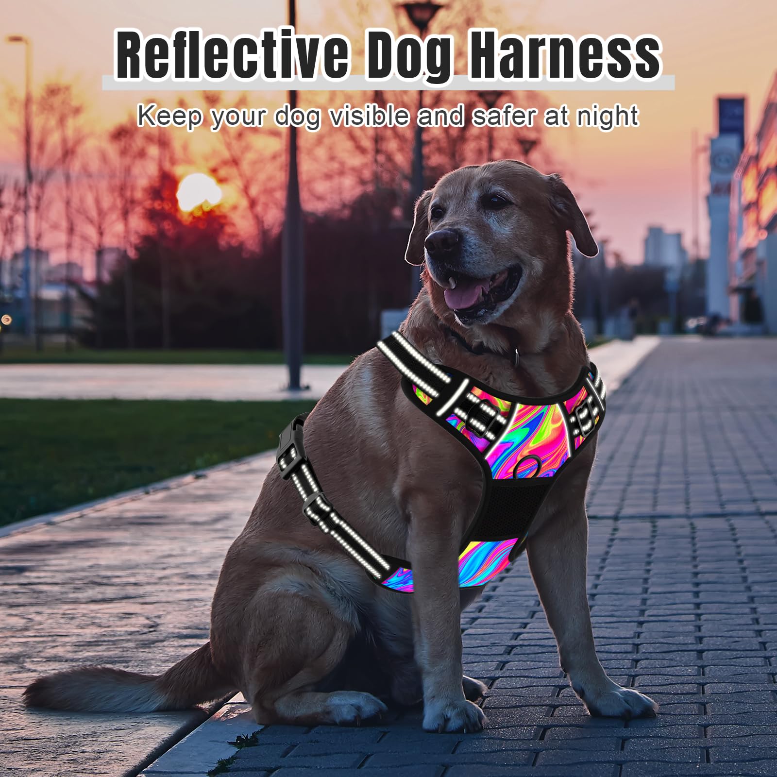 Rnivvi Arnés para Perro, Bonito arnés sin tirones para Perro, tamaño Extragrande, arnés Reflectante para Cachorros, Chaleco Acolchado Suave Ajustable para Perros Grandes, arnés para Mascotas con asa