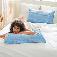 Vista 106 de PHF Fundas de almohada 100% algodón con tejido de gofre de 24 x 24 pulgadas, paquete de 2 fundas cuadradas para decoración elegante del hogar, sin