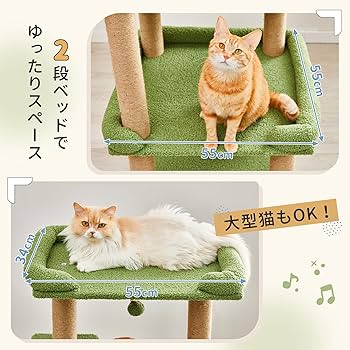yama@猫飼っています　　修理、連絡ページ Amazon | PAWZ Road キャットタワー ミニ 小型 シニア 猫タワー