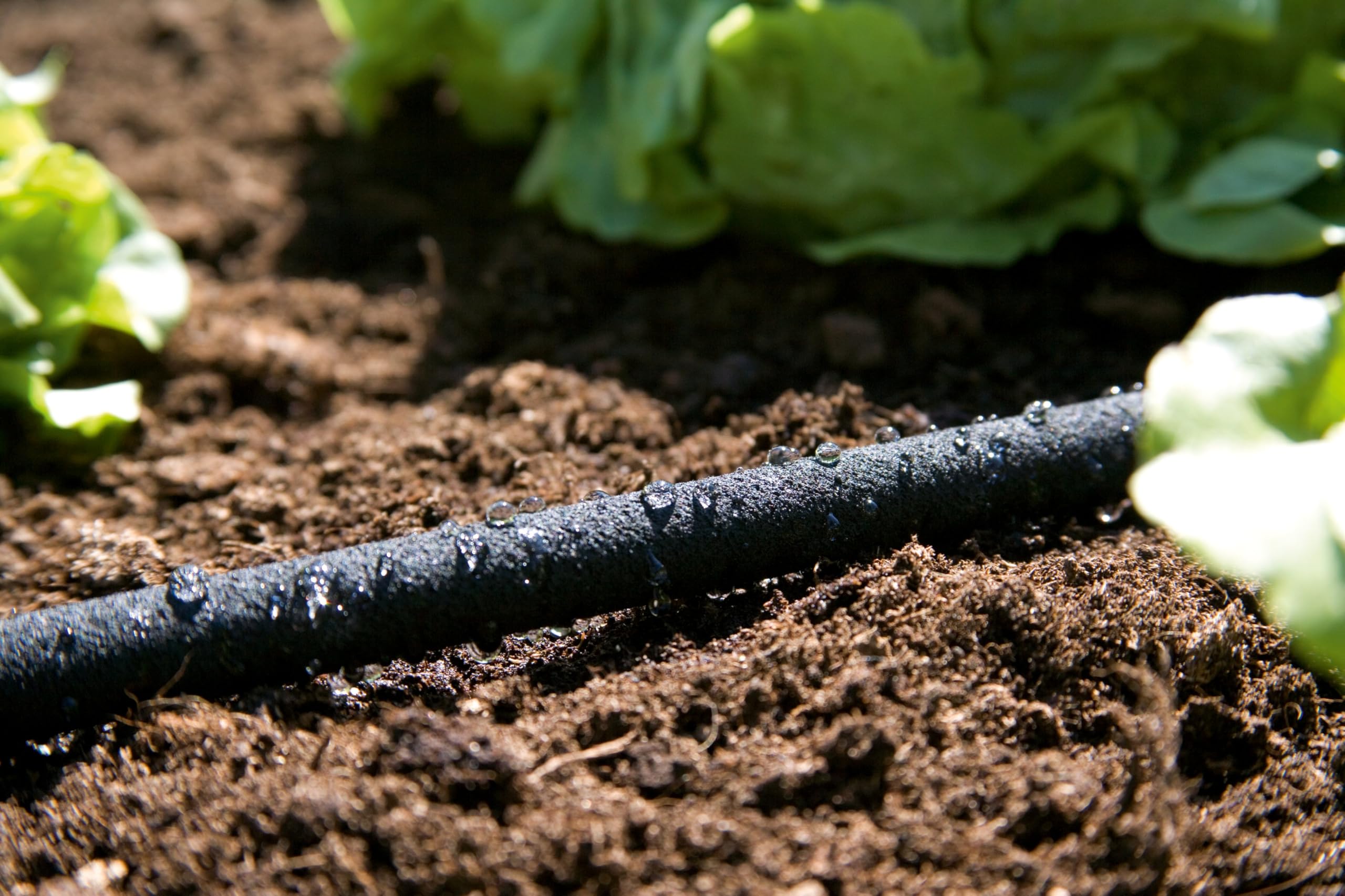 Gardena Contrôles d'économie d'eau Arroseur pour l'irrigation des rangées et des lits de légumes, des économies d'eau jusqu'à 70%, une longueur de longueur individuelle, facile à utiliser (1968-20)