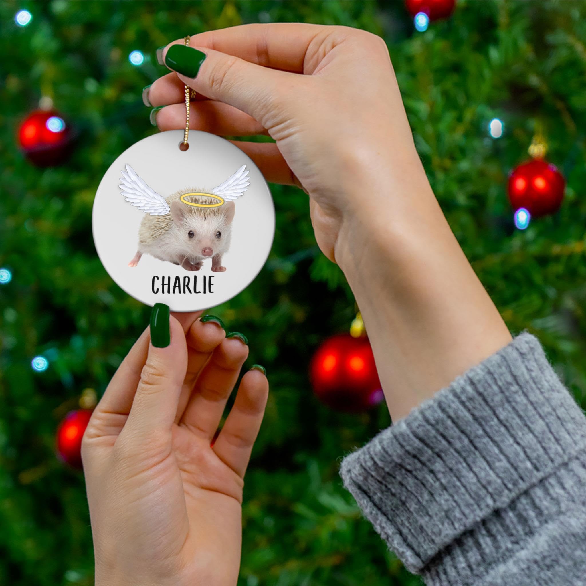 Amazon.com: Albino Hedgehog Angel Wings Memorial Personalized