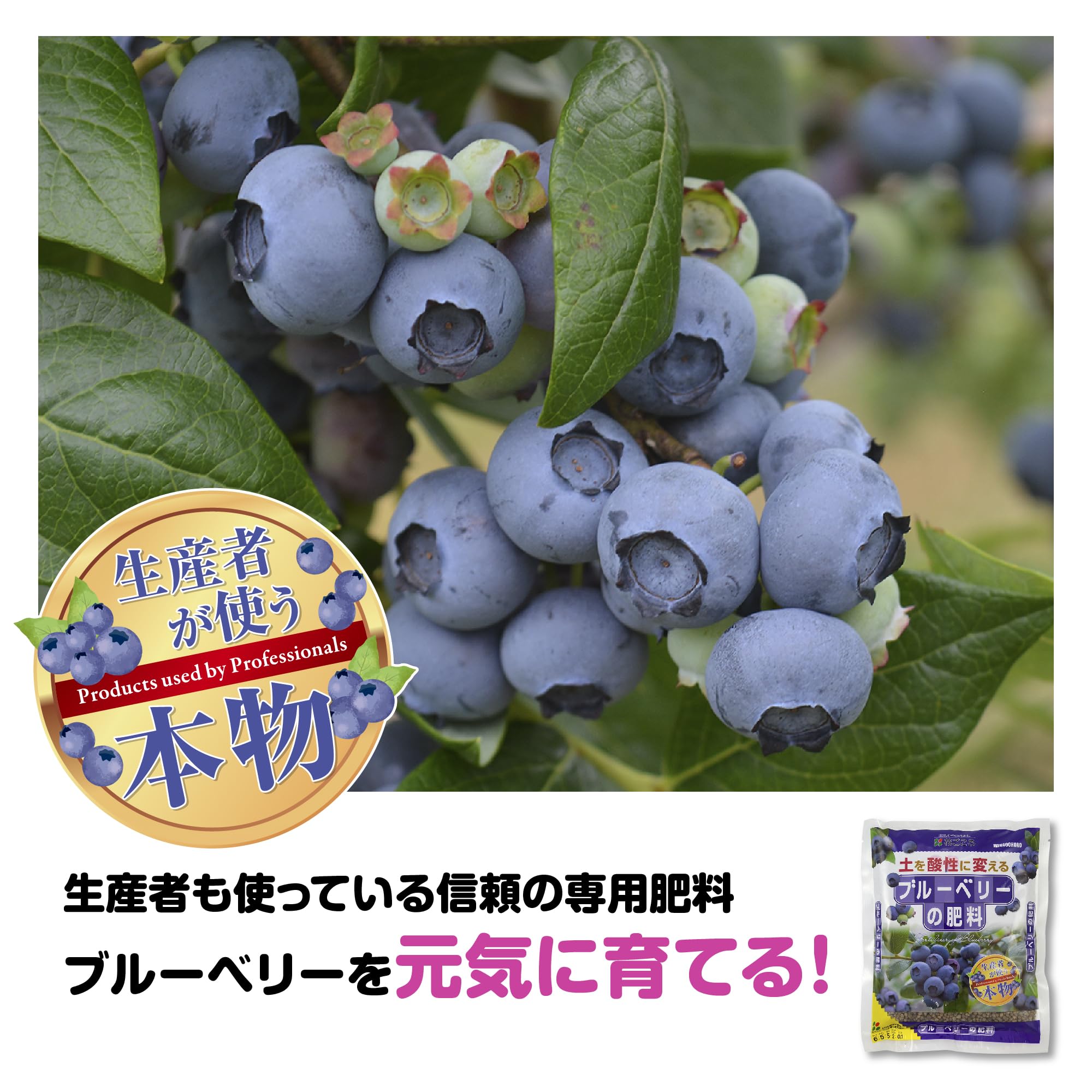 ブルーベリー 専用 Amazon.co.jp: 花ごころ ブルーベリー専用 鉄欠解決 FT-II : DIY