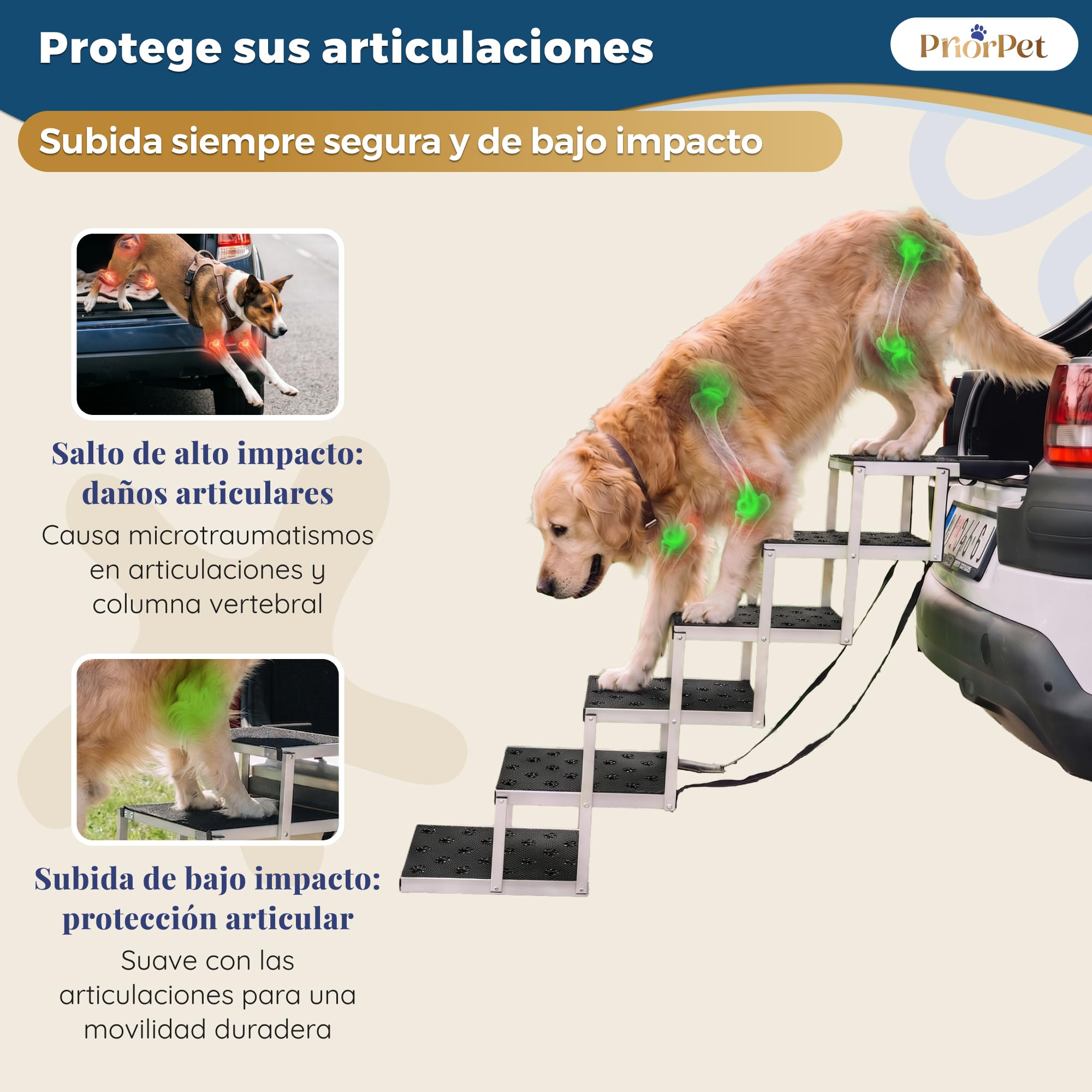 Escalera para Perros Coche Plegable – 4, 5 o 6 Peldaños para Maleteros Bajos y Altos (63–81 cm) – para Coches Pequeños, Familiares & SUV – Alternativa a Rampa para Perros