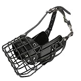 Ver la foto 1