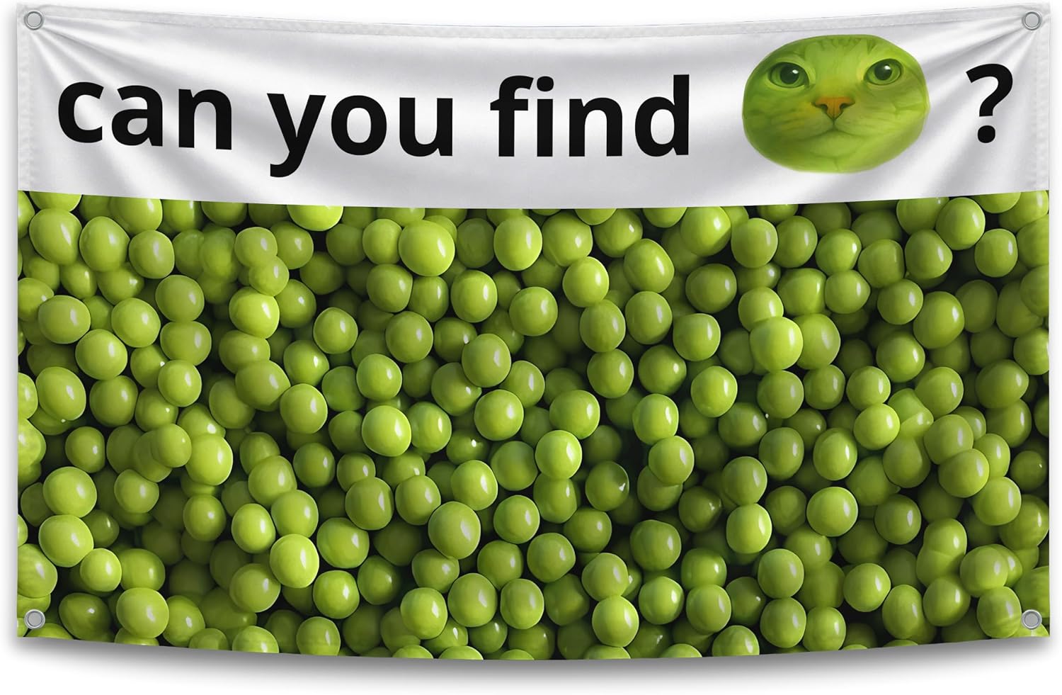 3x5 Feet Funny Single Sided Flags with Quote ''Can You Find?'' - Cool Meme Poster Polyester for Bedroom - Banners for Mans and Womans with Four Brass Grommets - Cool Dorm Flag Outdoor or Indoor