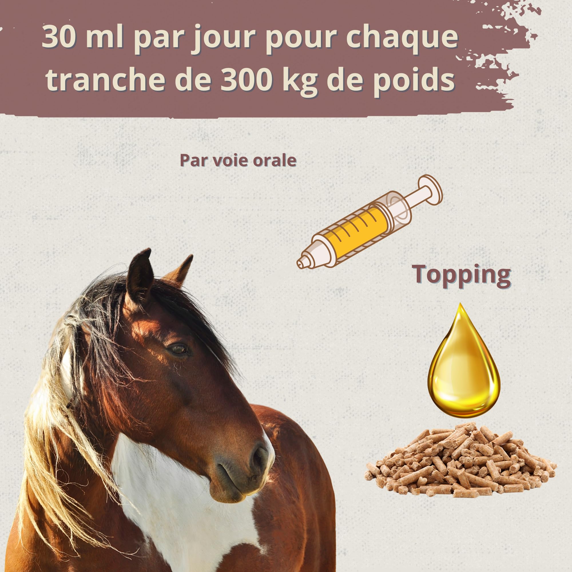 Promocare - Vitamines pour Chevaux 1 L avec acides aminés Essentiels et antioxydants - Complexe vitaminique B, E, C et A - Soutien au métabolisme, à l'énergie, à la récupération