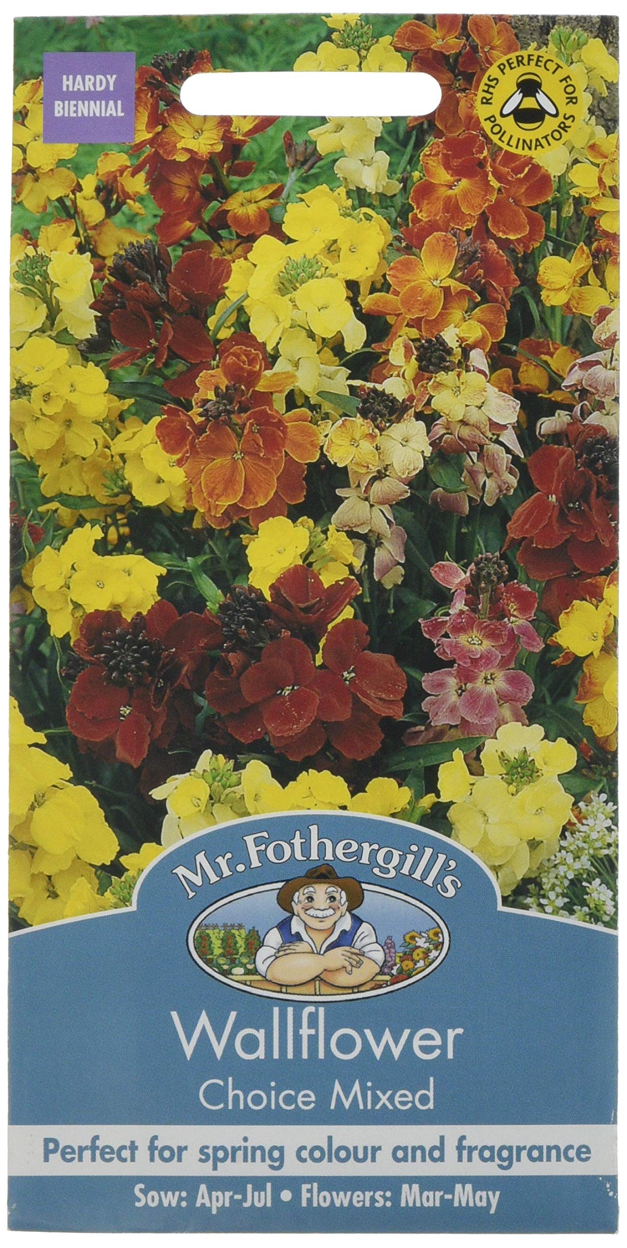 Mr. Fothergill's Choice Mixed Wallflower Seeds, cheerful mix